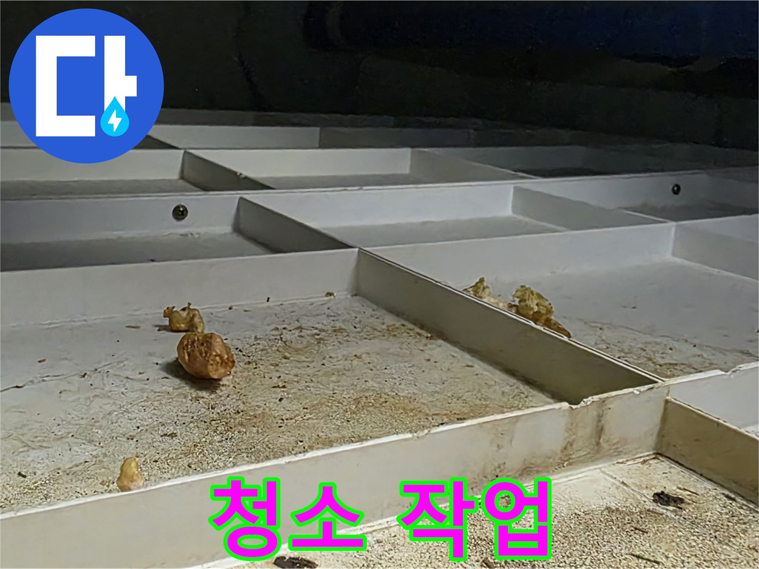 청소 작업 - 누수 후 청소 작업 진행