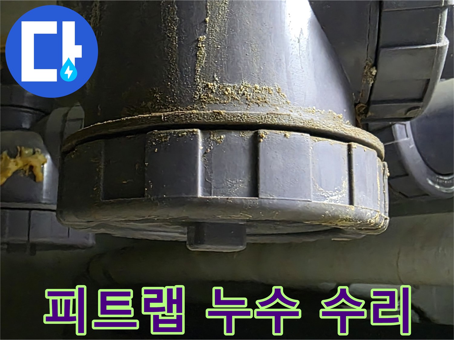 피트랩 연결 부위 누수 - 배수구 냄새와 벌레 차단의 문제