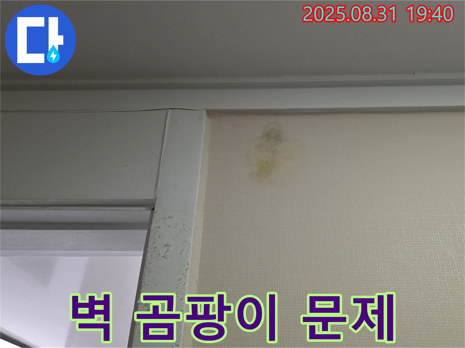 벽 곰팡이 문제 - 성남 분당 백현동 누수 - 전문가 해결