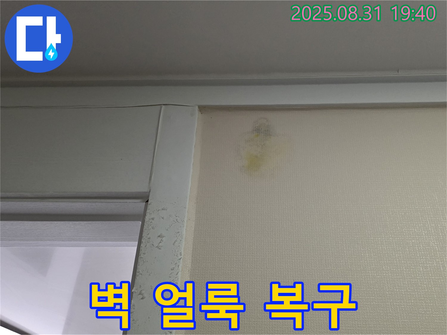 벽 얼룩 복구 - 분당 산운로 누수 - 원스톱 해결