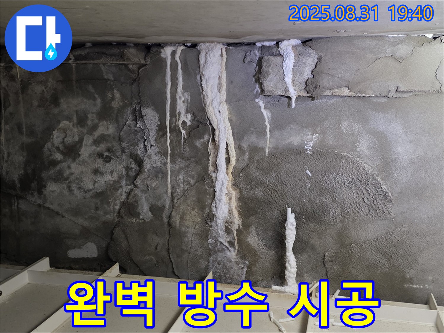 분당 건물 지하 누수 - 완벽한 방수 시공, 꼼꼼한 시공으로 누수 재발 방지