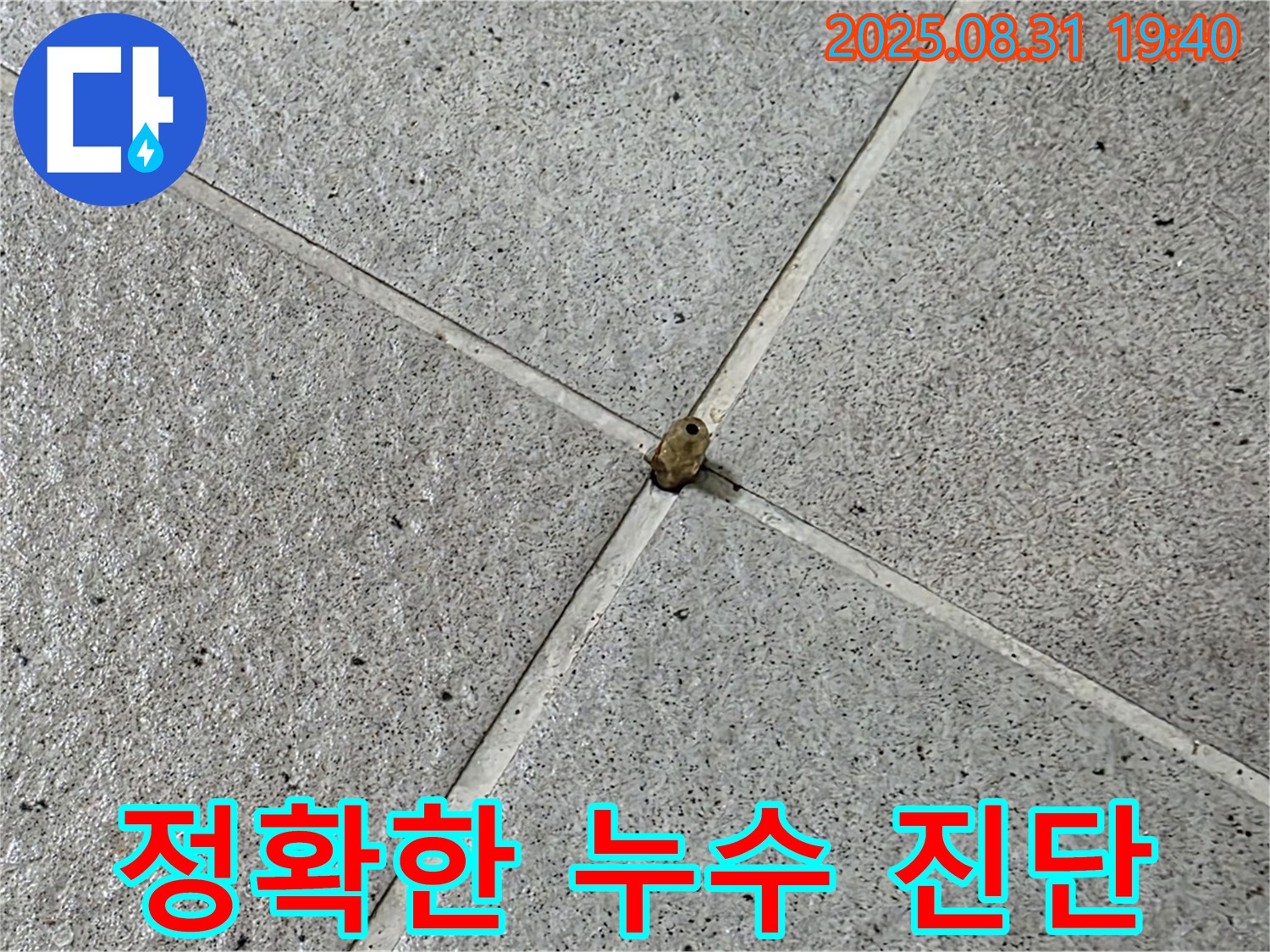분당 산운마을 누수 현장 - 꼼꼼한 누수 탐지로 정확한 누수 지점을 찾아내고 있습니다.