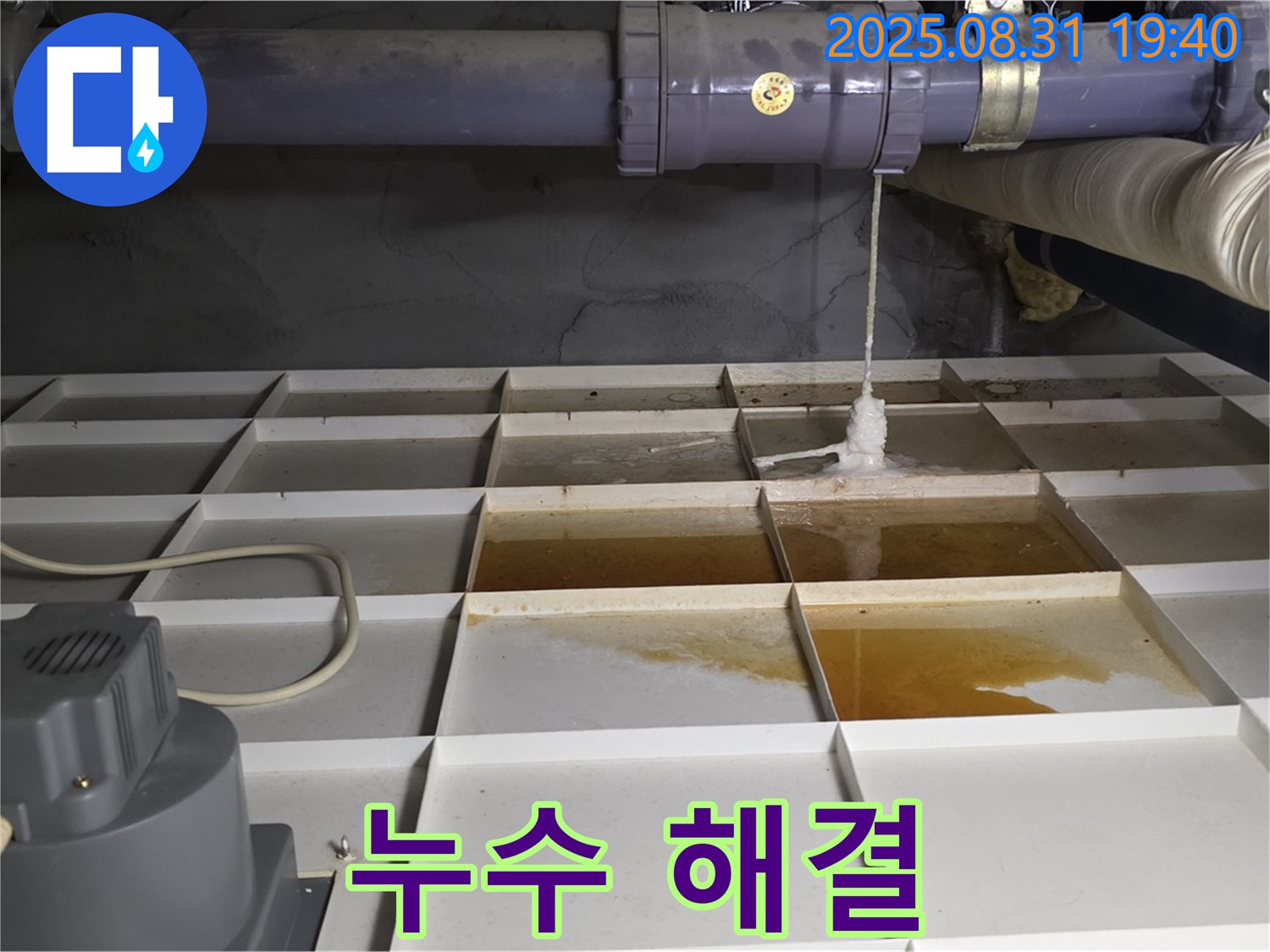 분당 운중동 누수 - 누수 해결 완료, 쾌적하고 안전한 공간을 되찾았습니다!