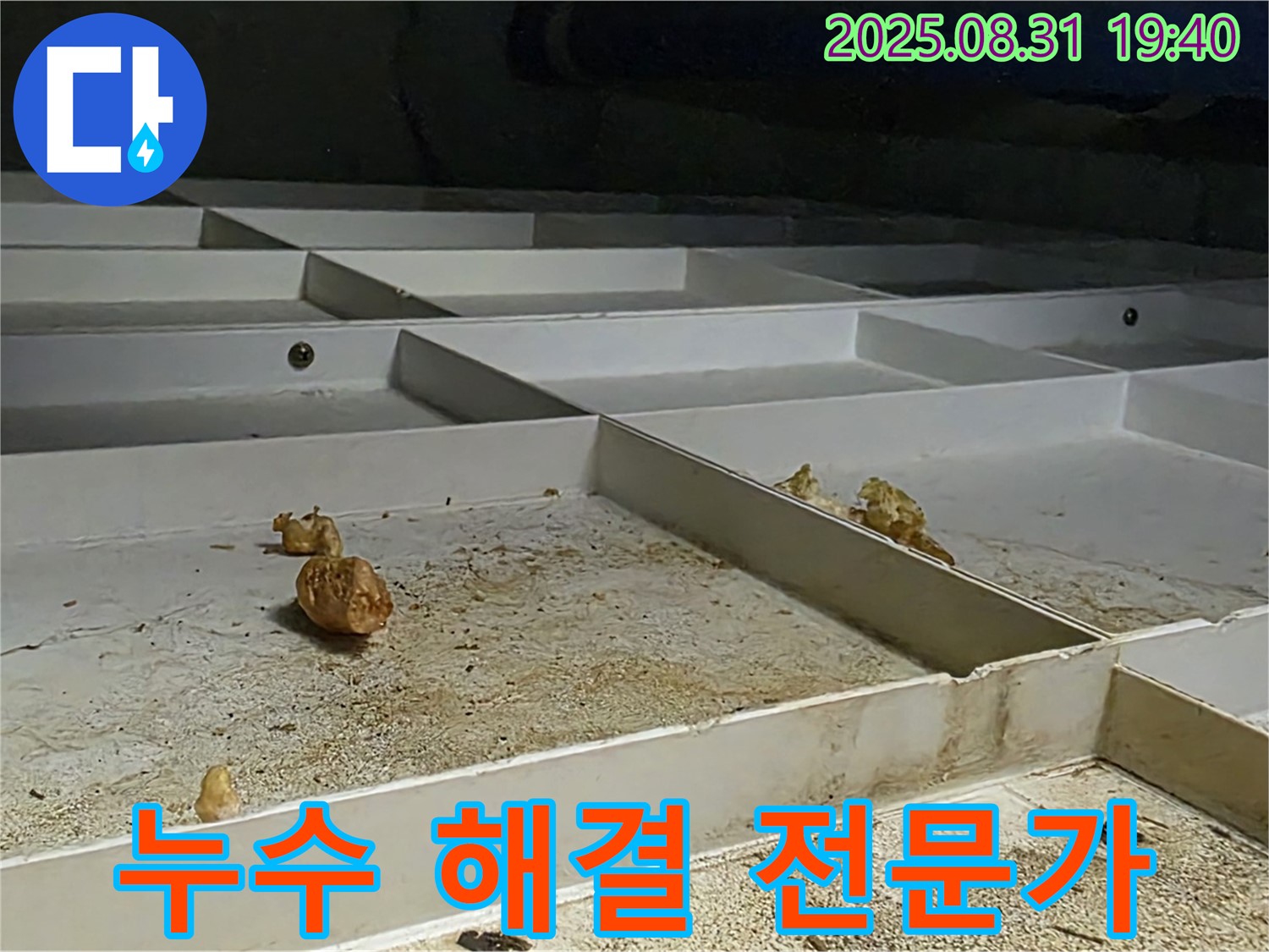 분당 이매동 누수 - 윗집 누수 문제 해결 전문가의 손길