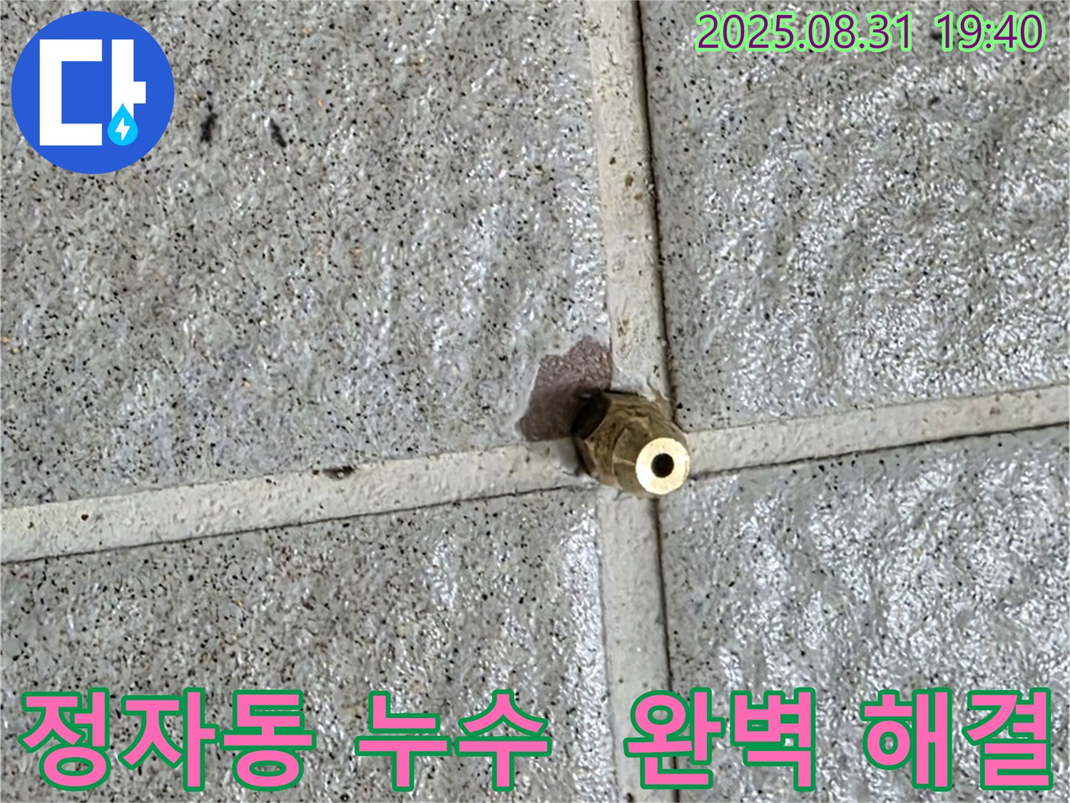 분당 정자동 누수 - 문제의 작은 황동 부속 교체 후 누수 완벽 해결!