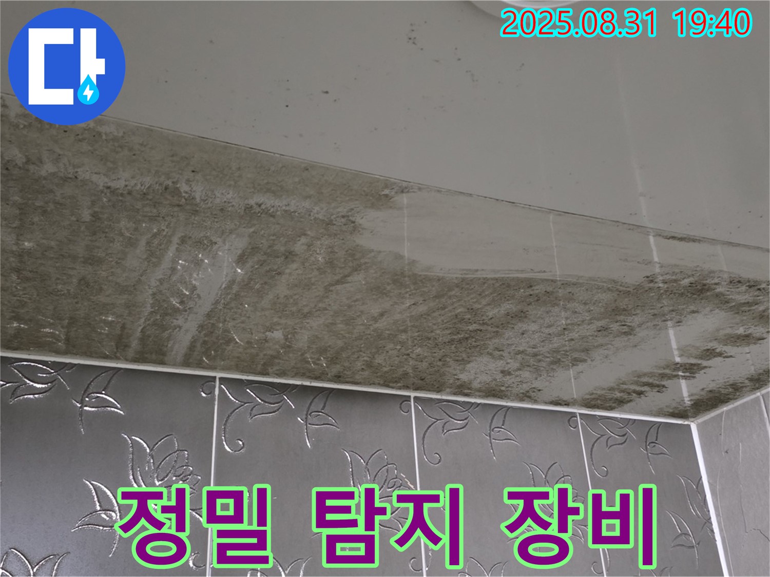 분당구 산운동 아파트 누수 - 정밀 탐지 장비로 정확한 누수 위치 파악