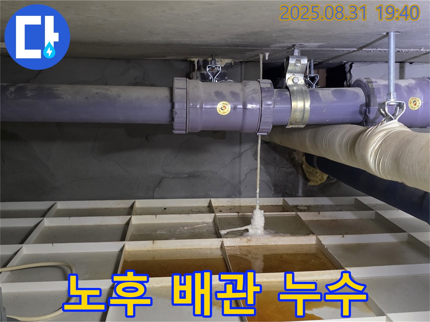 분당구 산운로 누수 - 노후 배관에서 발생한 누수를 신속하게 해결했습니다.