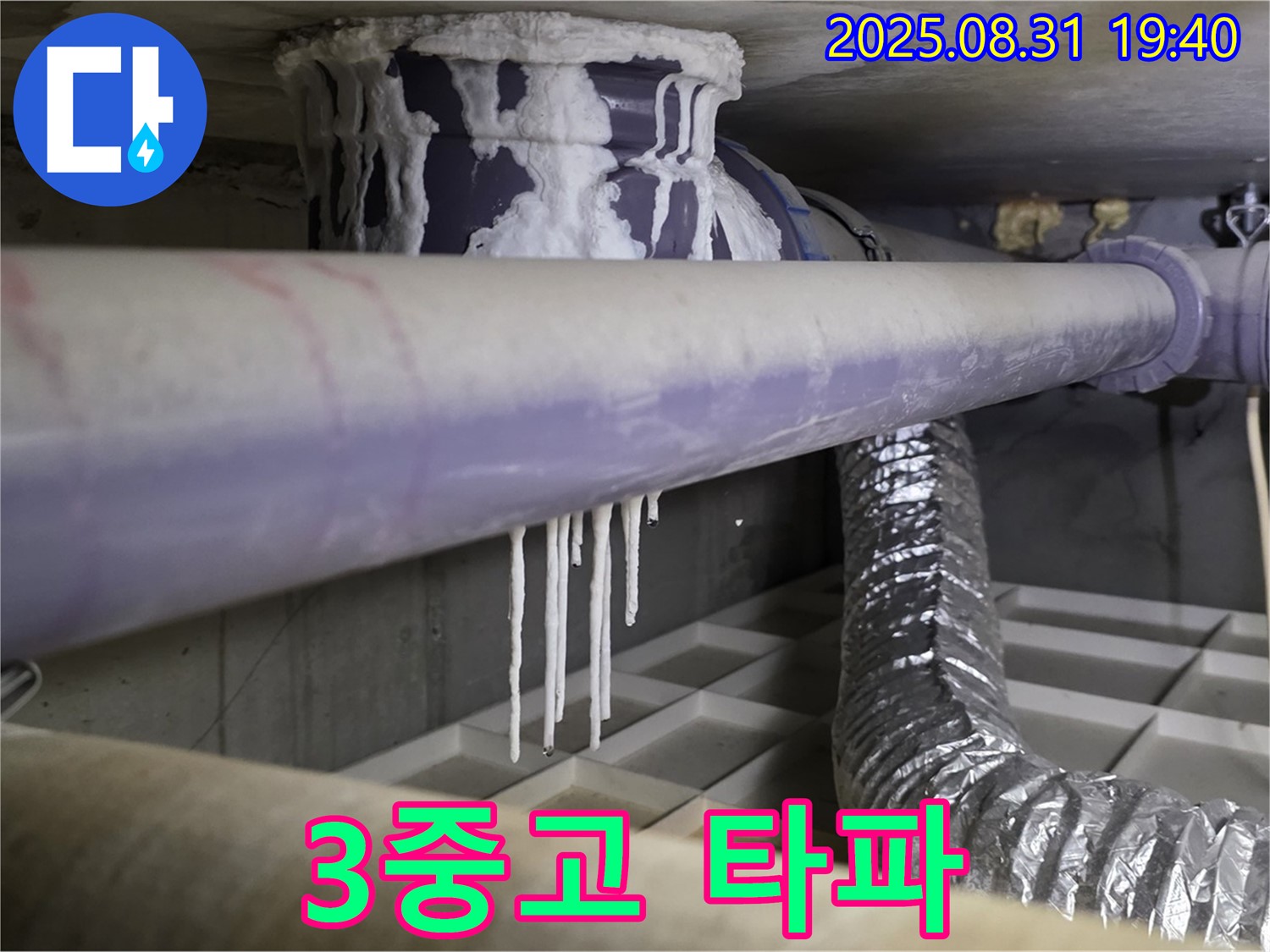 분당구 산운로 누수 - 석회수, 곰팡이, 악취 3중고 완벽 타파 - 쾌적한 공간으로