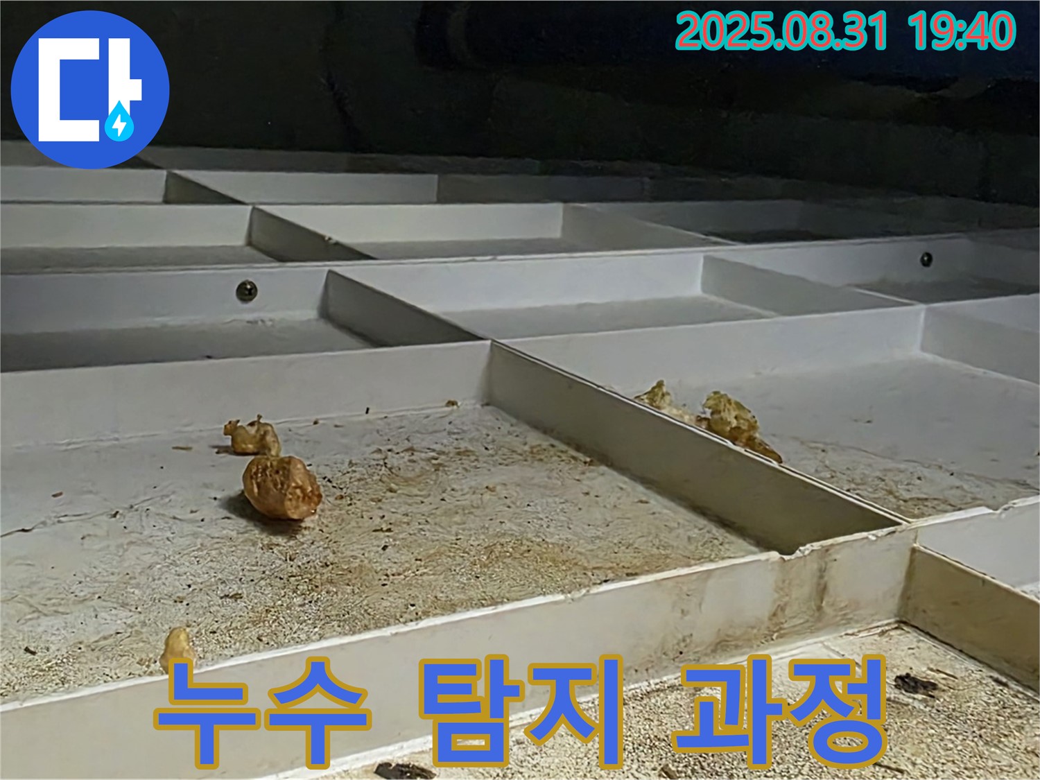 분당구 산운로 누수 탐지 과정 - 누수 지점을 찾기 위한 전문가의 노력