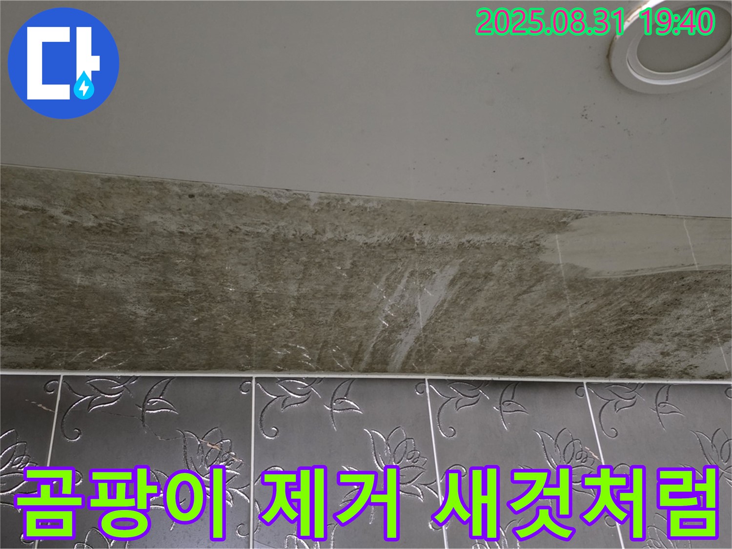 분당구 율동 곰팡이 핀 욕실 천장 누수 - 완벽한 복구 공사로 새것처럼 깔끔하게 해결!