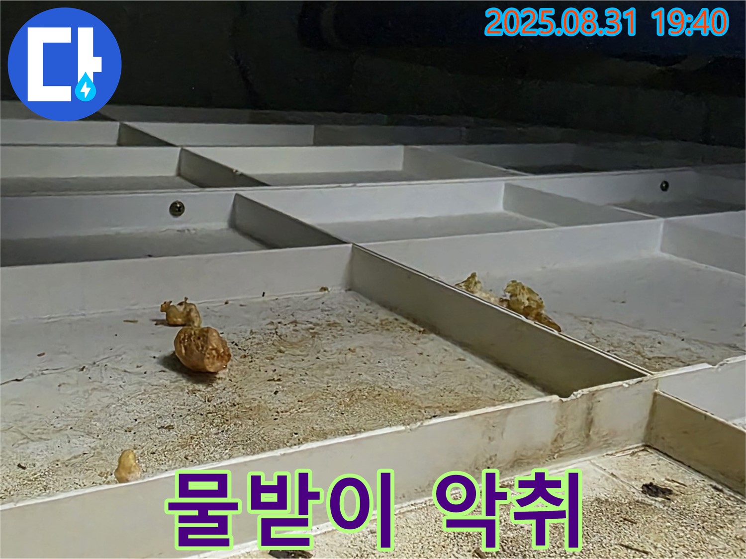 분당구 정자동 누수 - 천장 물받이, 악취 발생, 오염 심각