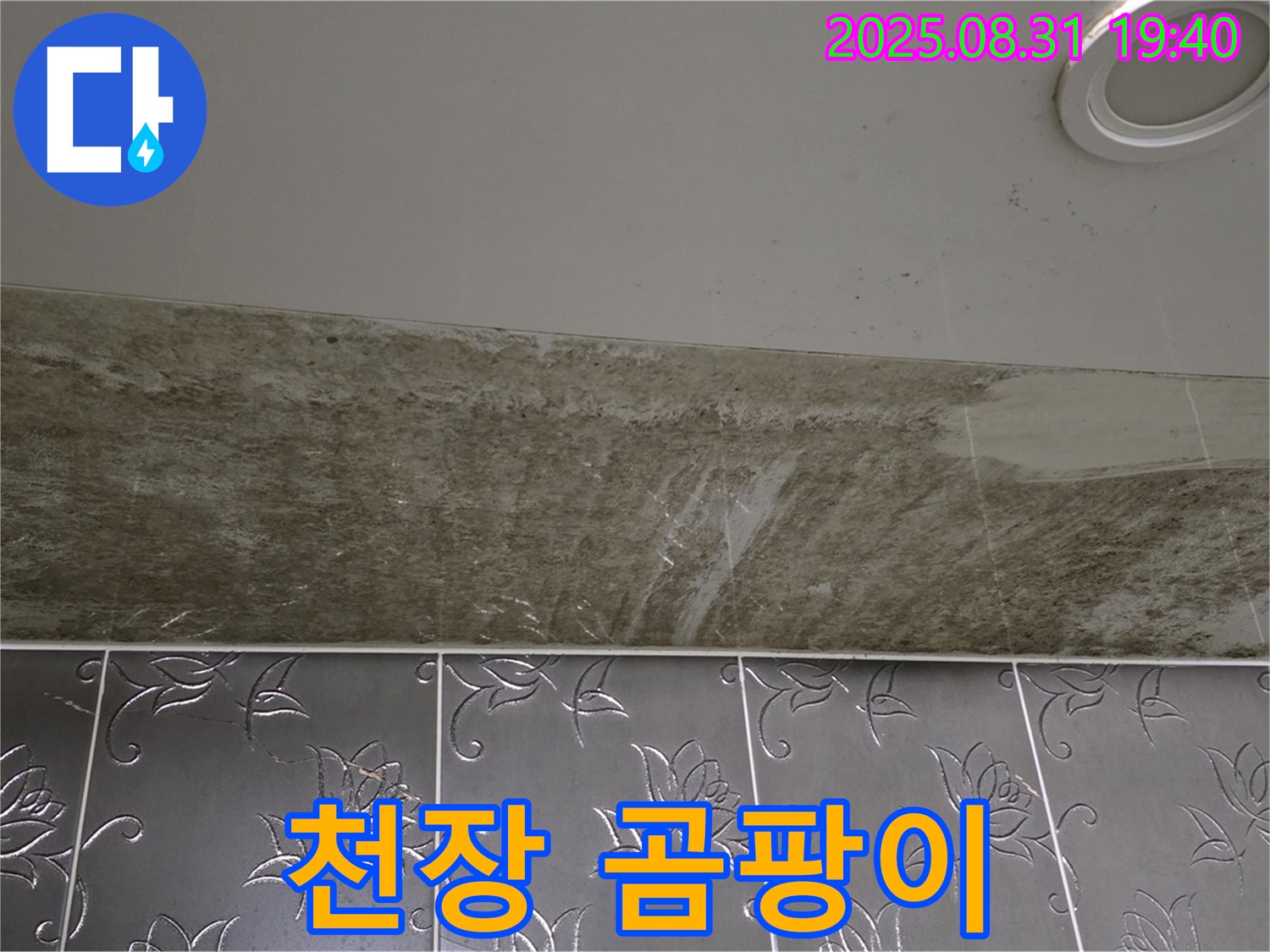성남시 분당구 운중동 욕실 천장 누수 - 곰팡이 꽃이 핀 누수, 긴급 해결했습니다.