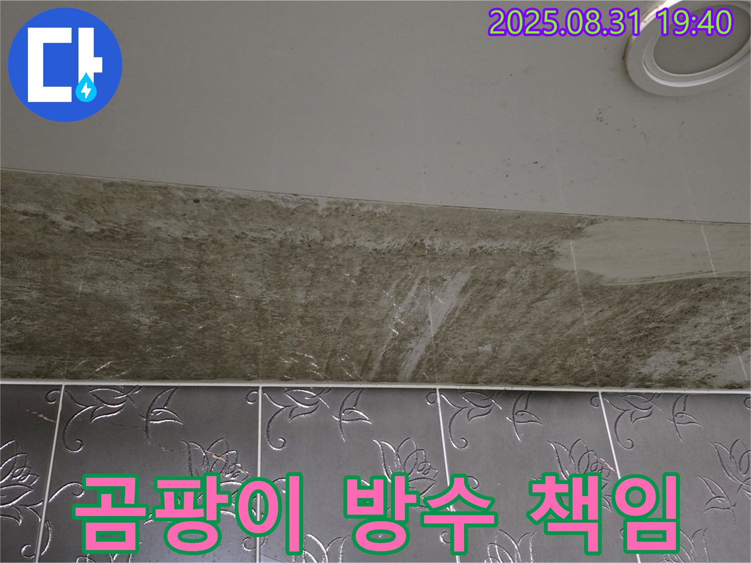 성남시 분당구 율동 욕실 천장 누수 - 곰팡이 제거부터 완벽 방수까지 책임집니다!