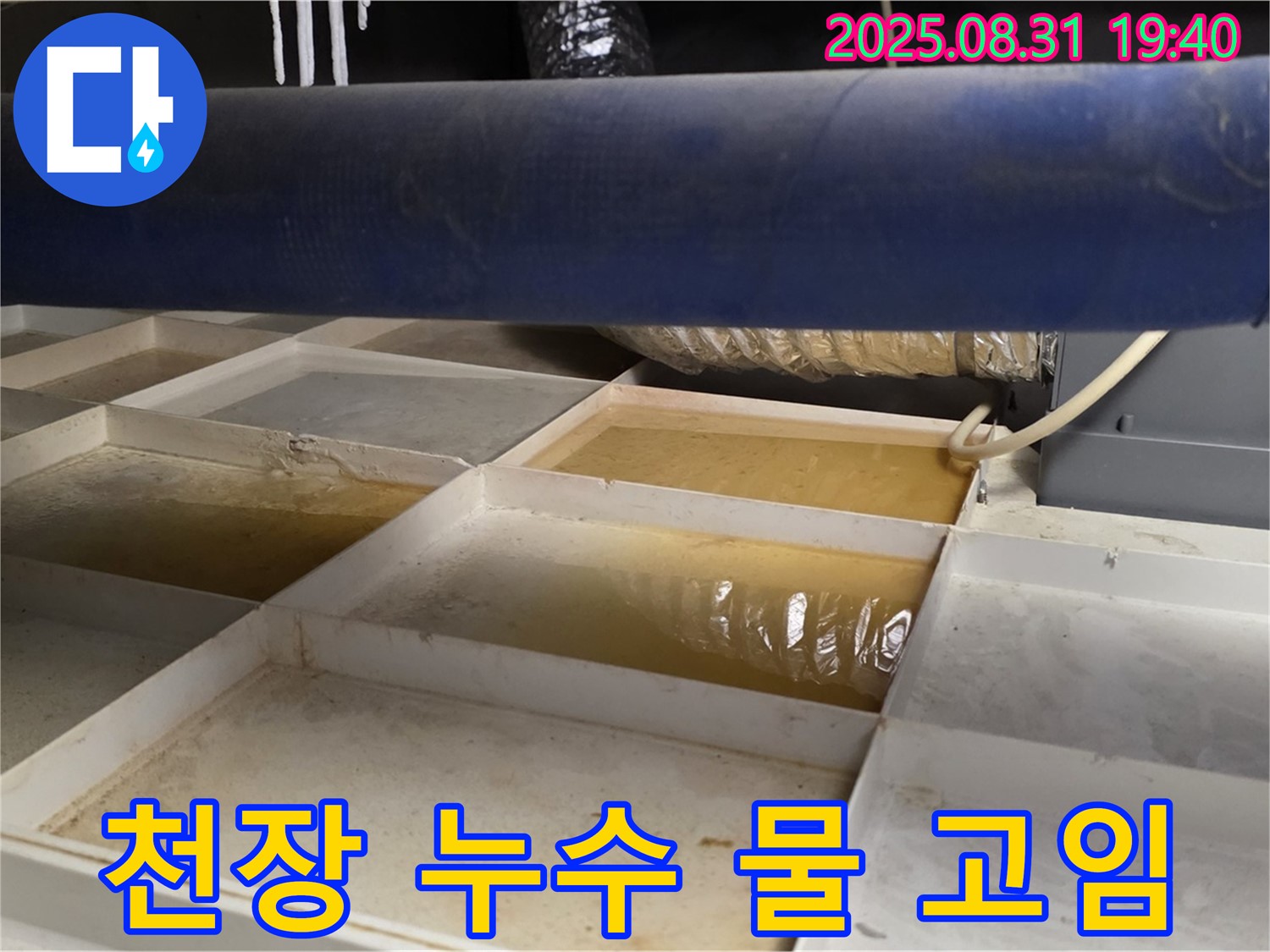 천장 누수 - 트레이에 고인 물, 누수 상황 심각