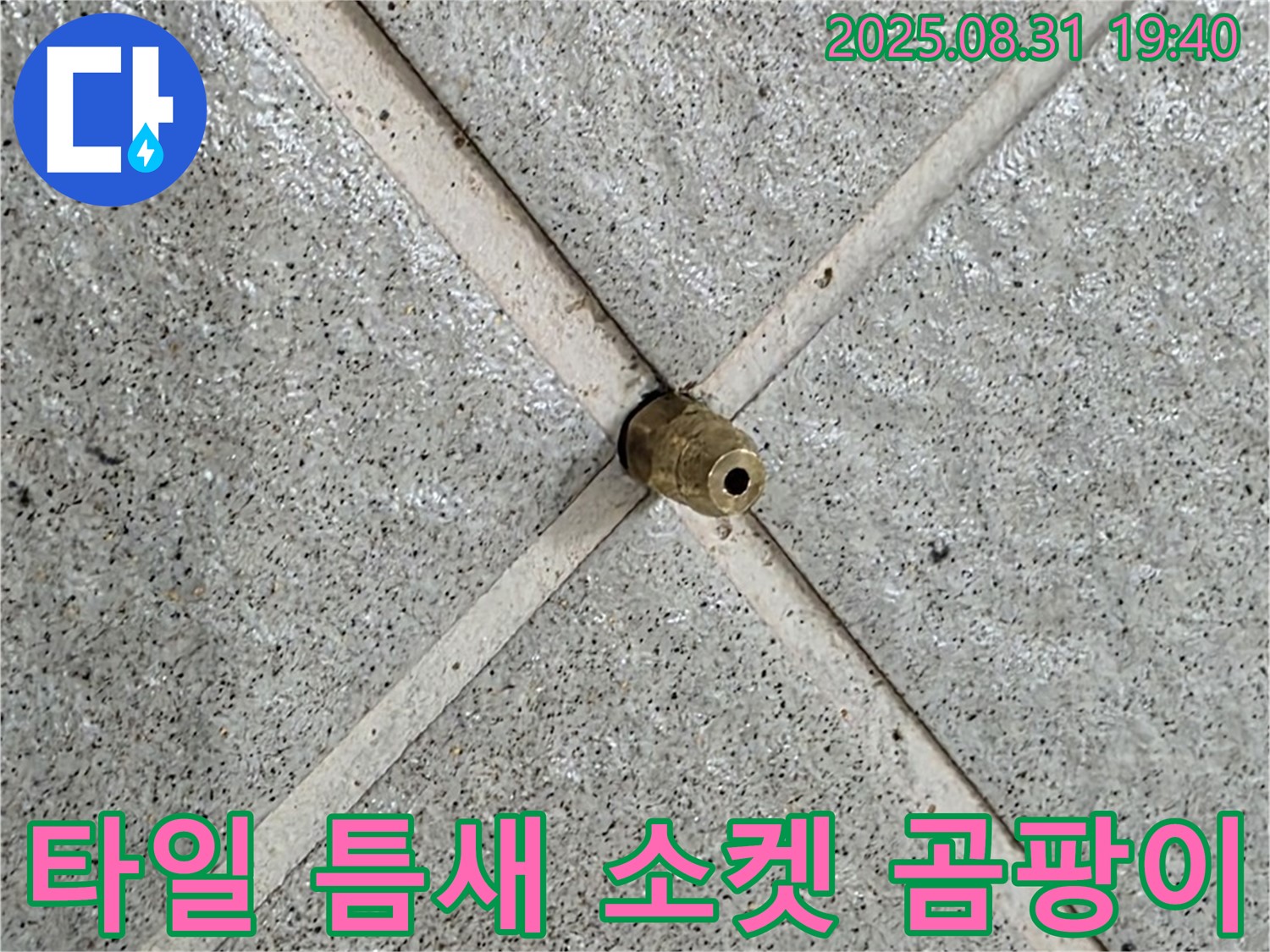 타일 틈새 소켓 완벽 제거 후 곰팡이까지 싹 - 쾌적한 공간으로!