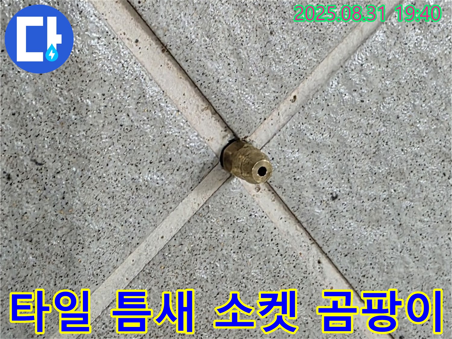 타일 틈새 소켓 완벽 제거 후 곰팡이까지 싹 - 쾌적한 공간으로!