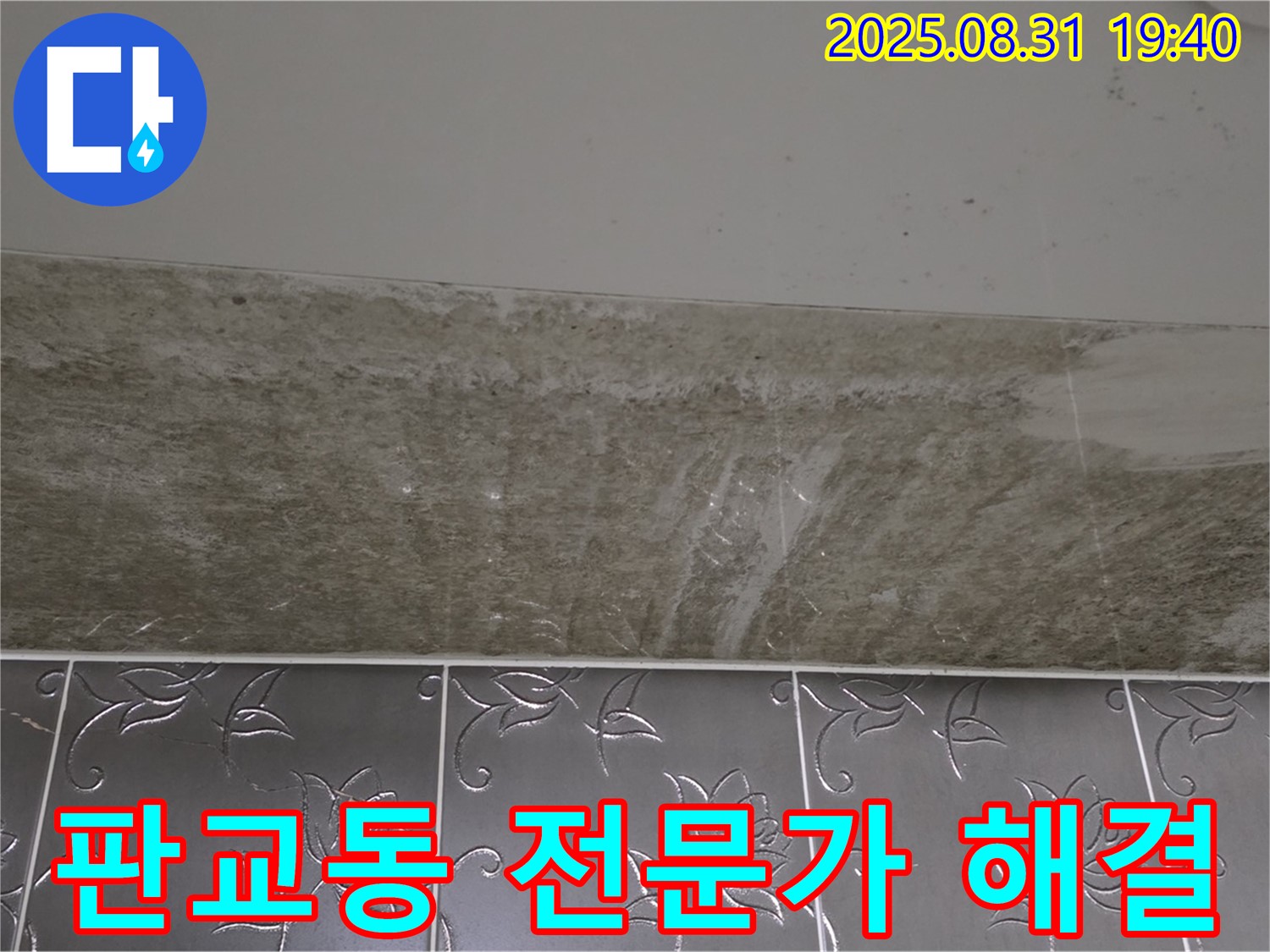 판교동 욕실 누수 - 곰팡이 이제 전문가에게 맡기세요!