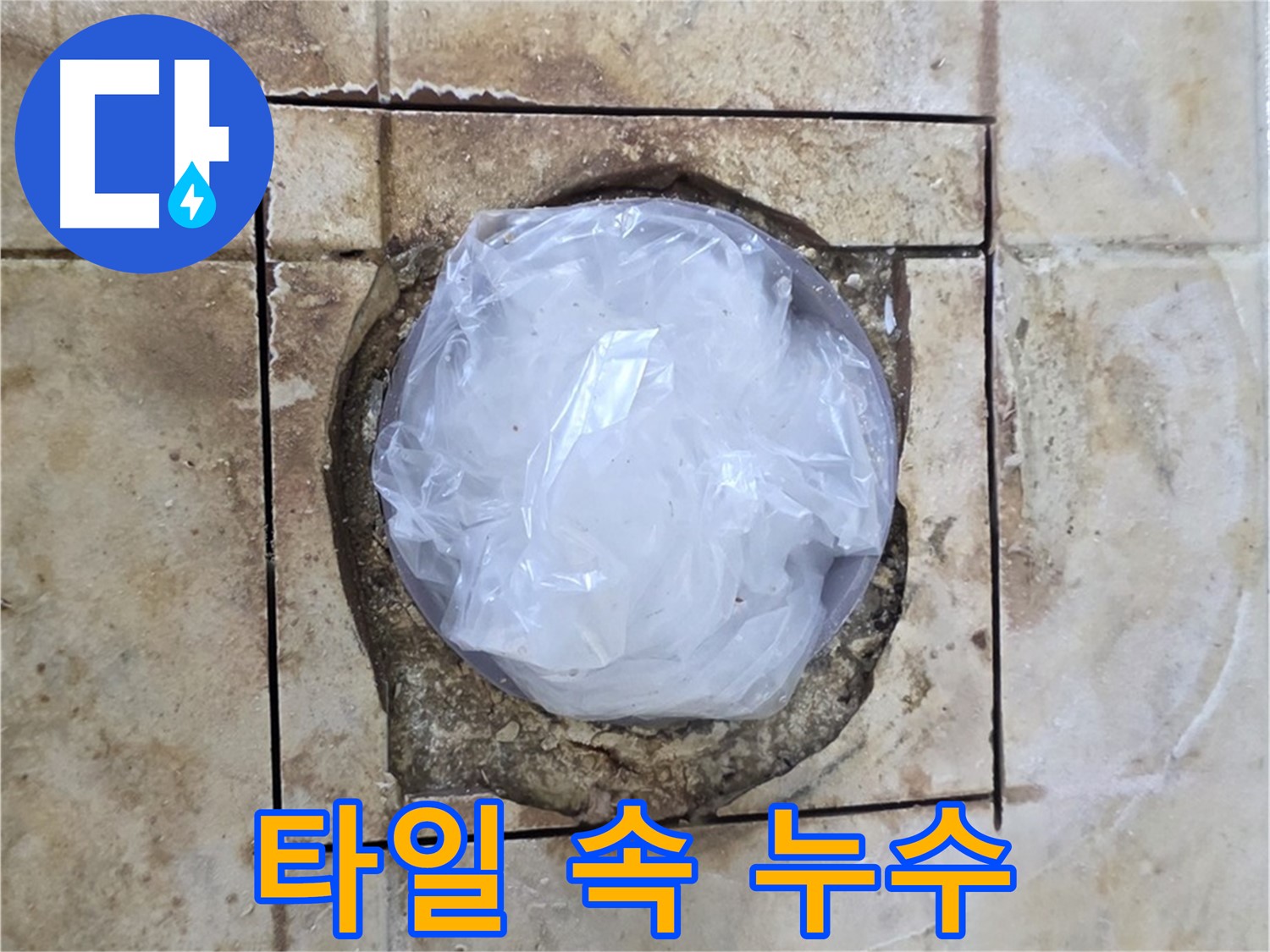 깨진 타일 속 누수 - 꼼꼼한 점검으로 찾아낸 숨은 누수