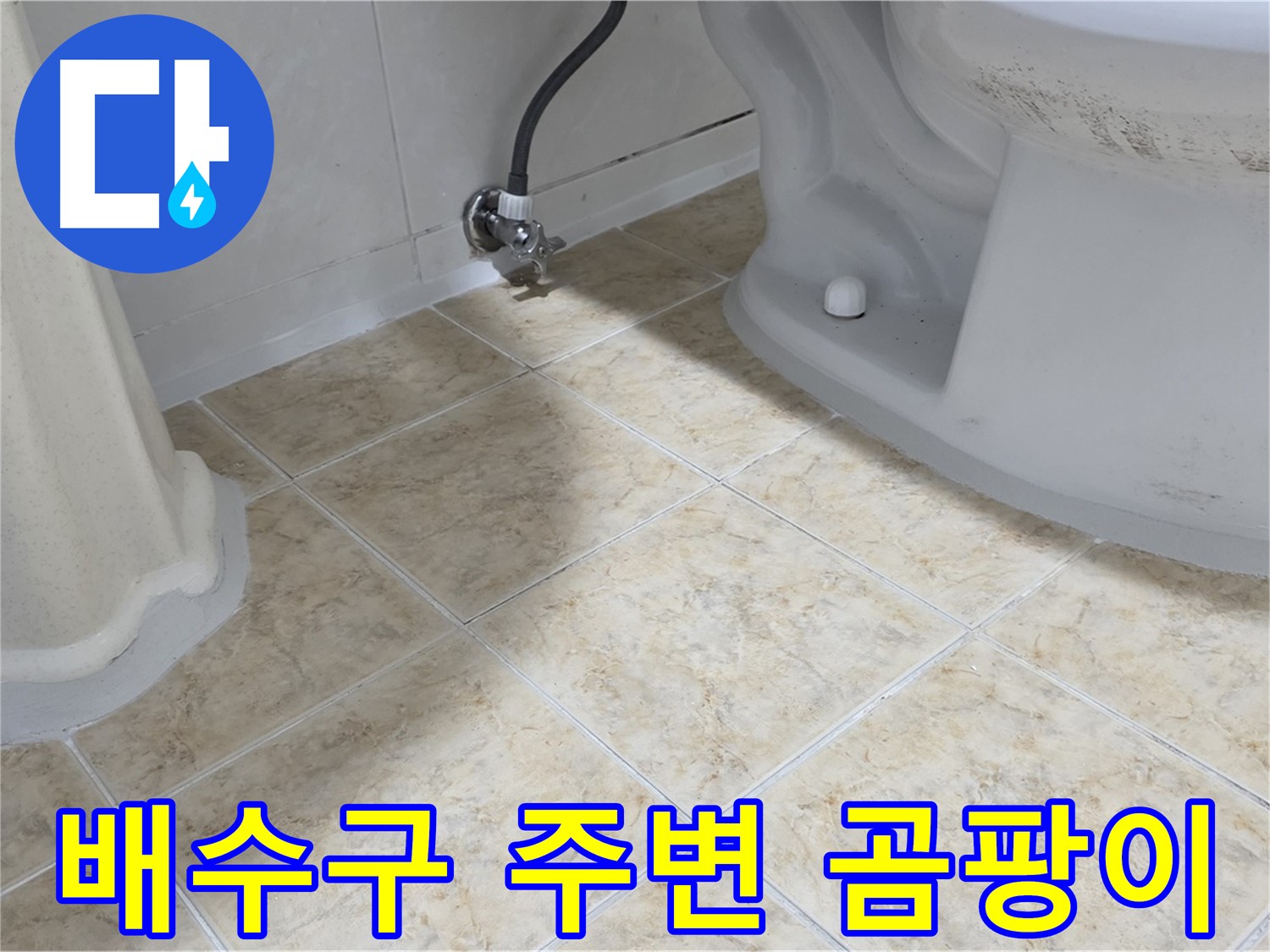 배수구 주변 곰팡이 - 습기 원인