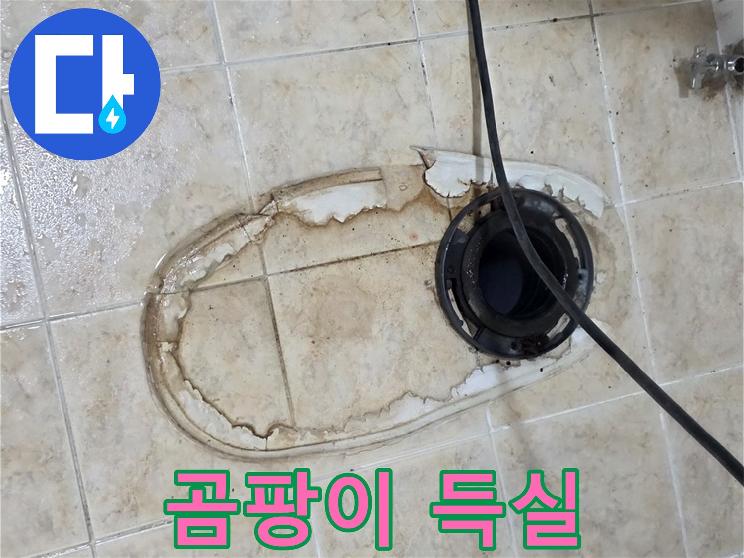 변기 누수 - 곰팡이 득실득실