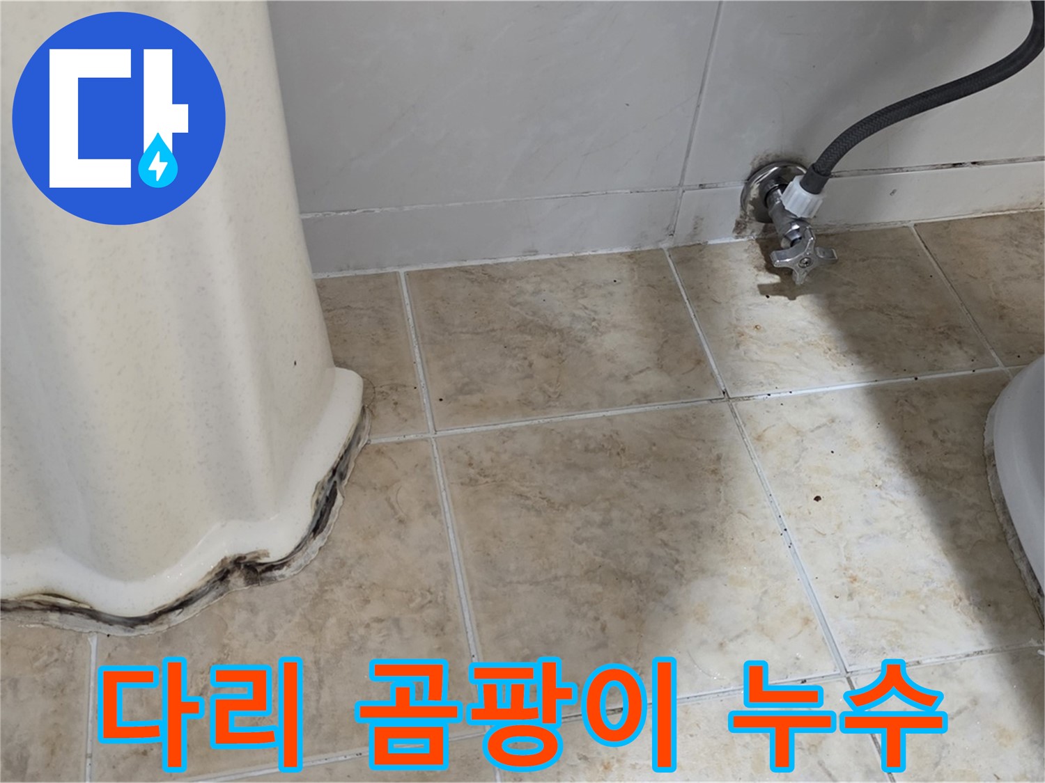 세면대 다리 곰팡이 - 습기 가득한 욕실 - 곰팡이 번식