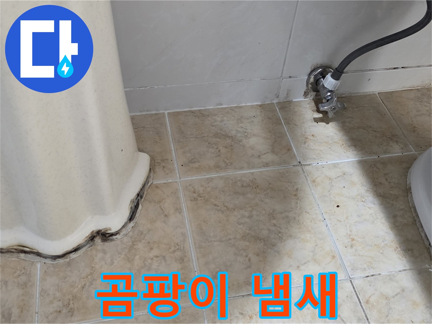 세면대 주변 곰팡이 냄새 - 쾌적한 욕실 시작 - 냄새 제거 전문가