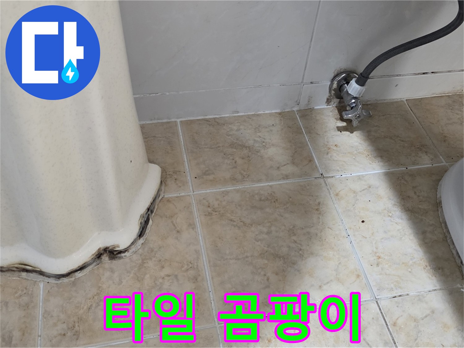 세면대 주변 타일 곰팡이 - 쾌적한 욕실 방해 - 곰팡이 제거 전문가