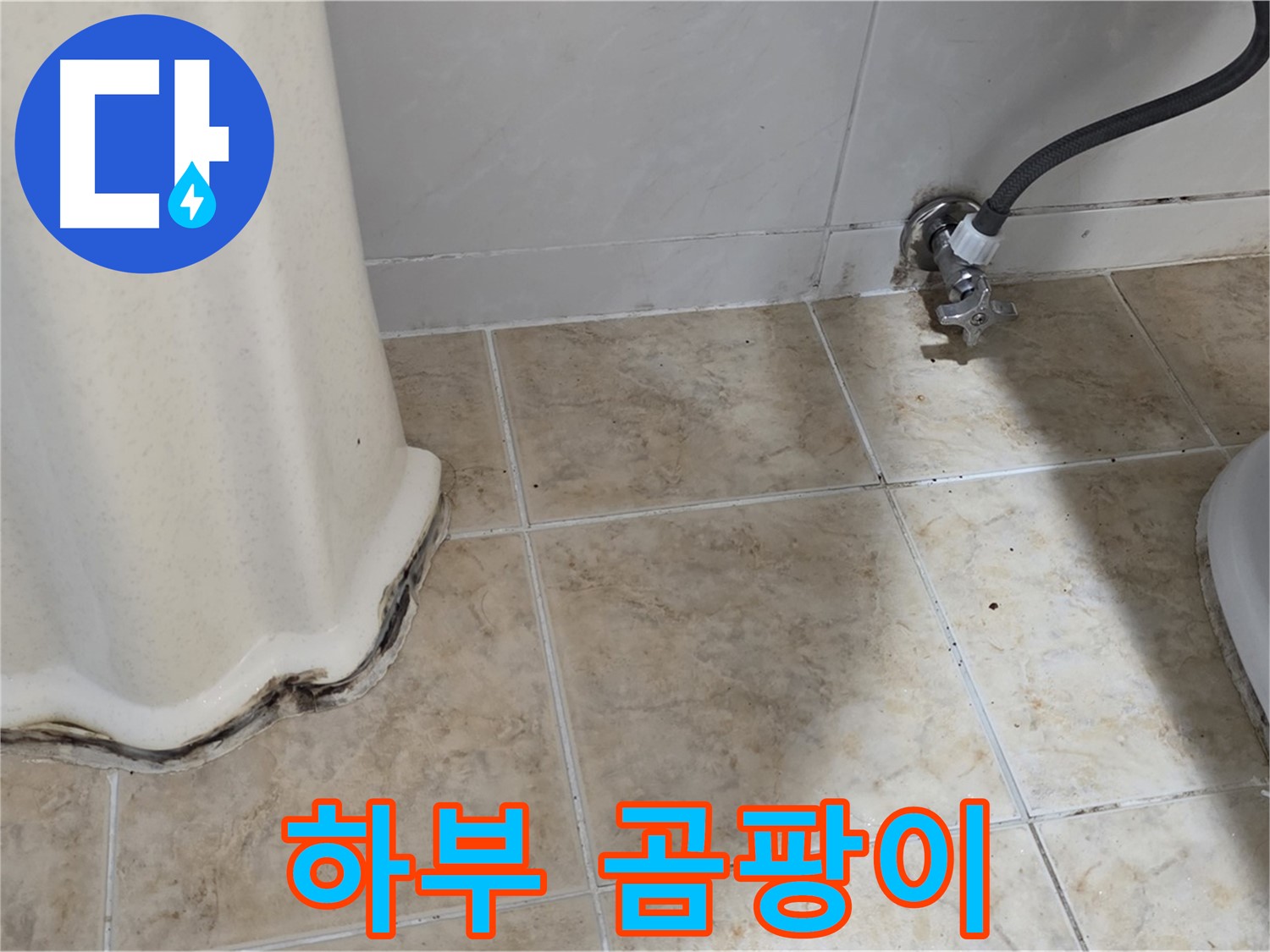 세면대 하부 곰팡이 - 건강한 생활 필수 - 곰팡이 제거 전문가
