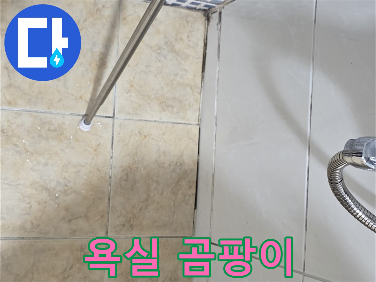 욕실 곰팡이 - 건강 - 전문가 상담 - 즉시