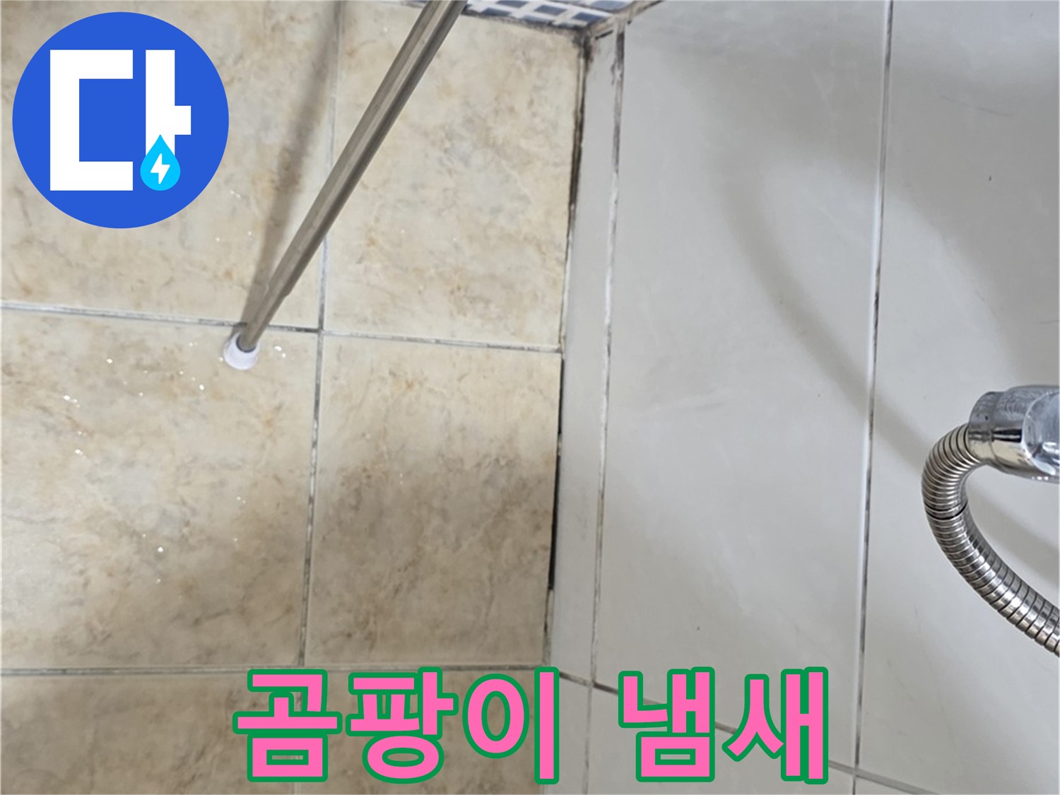 욕실 곰팡이 냄새 - 곰팡이 제거 후 - 냄새 지속 - 누수 의심