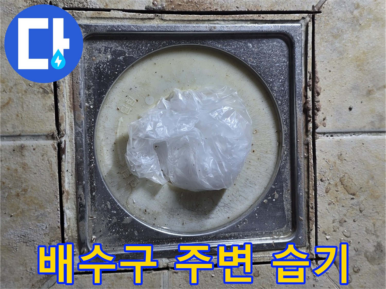 욕실 배수구 주변 습기 - 누수 초기 증상 진단