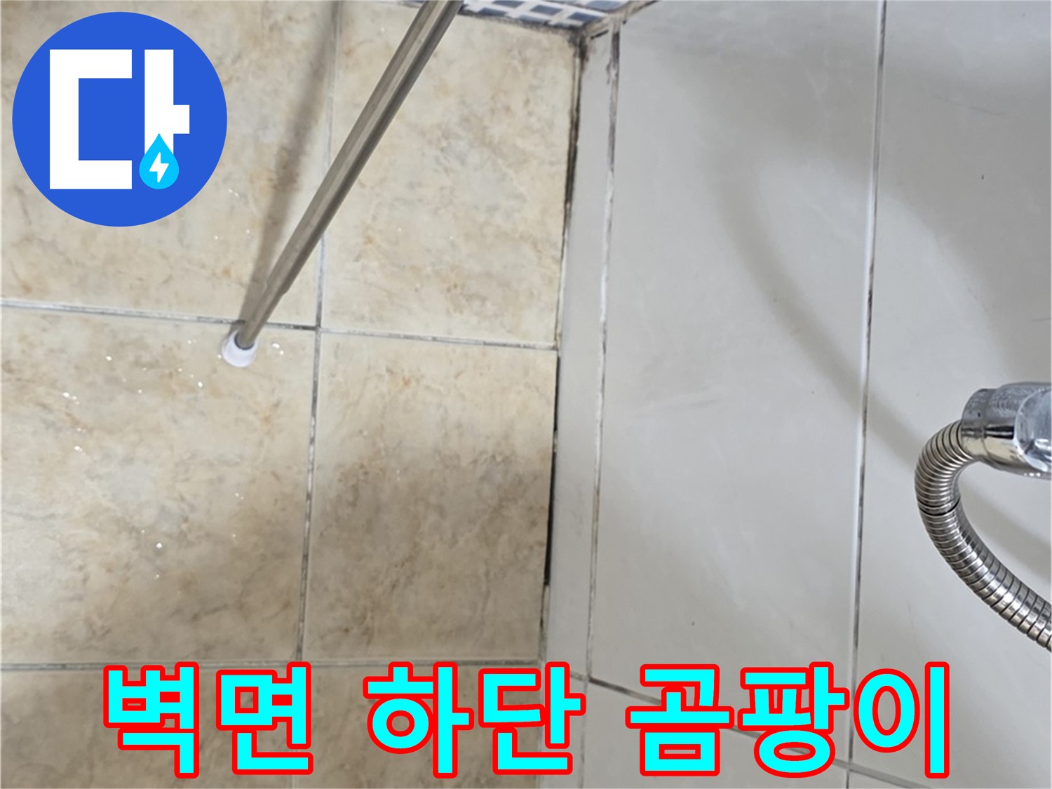 욕실 벽면 하단 곰팡이 - 곰팡이 번짐 - 누수 의심