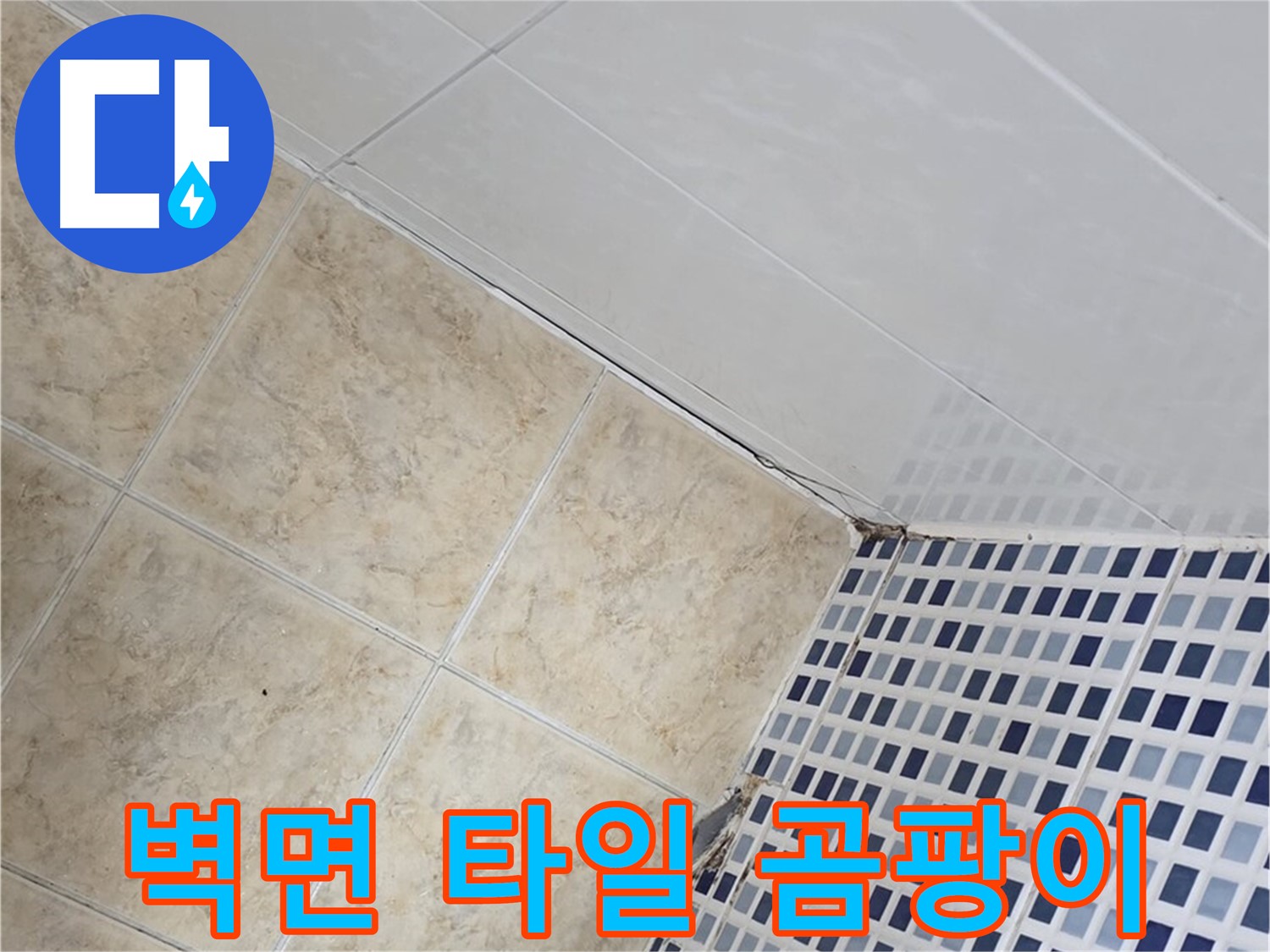 중랑구 묵동 욕실 벽면 타일 사이 누수 - 곰팡이 문제 해결을 위한 완벽한 시공
