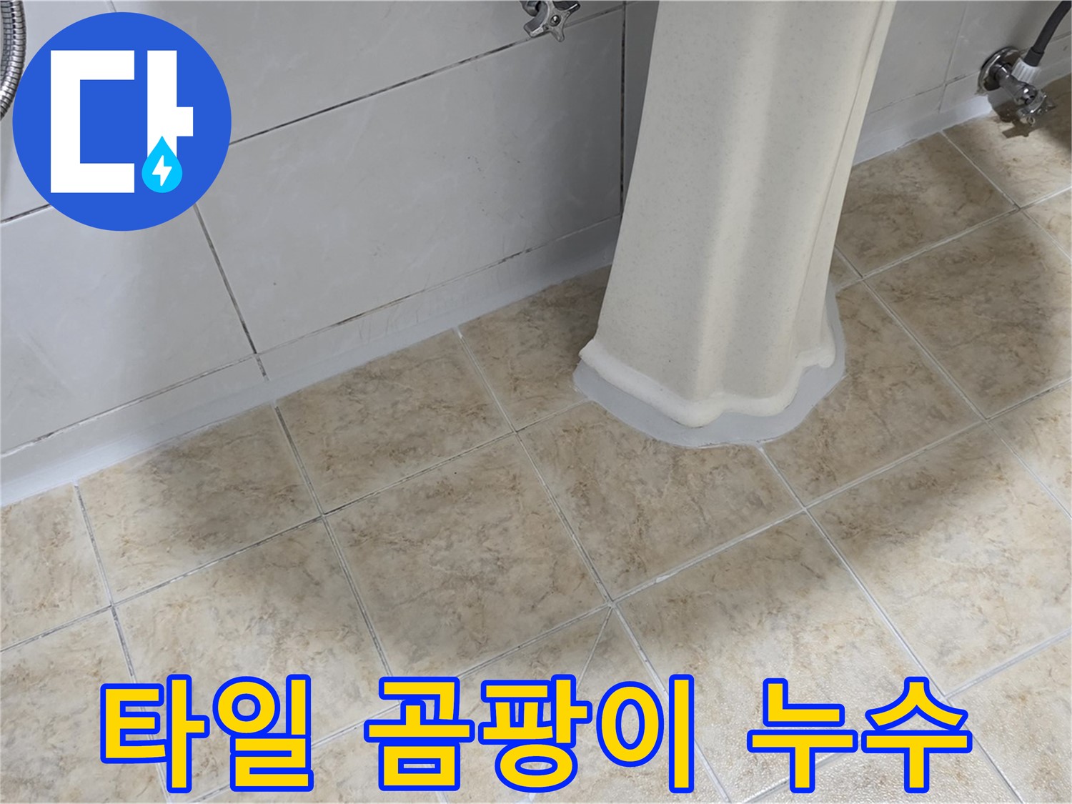 타일 곰팡이 누수 - 곰팡이는 누수의 신호일 수 있습니다.
