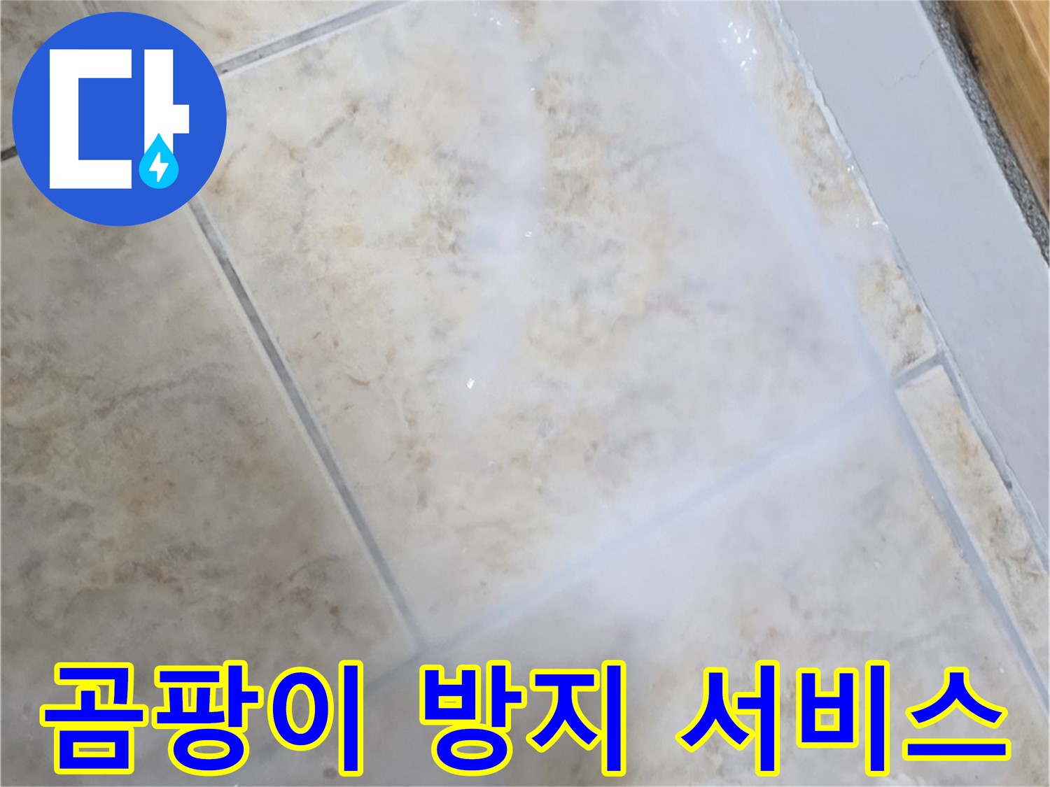 타일 누수 해결 - 곰팡이 방지 프리미엄 서비스 - 쾌적하게!