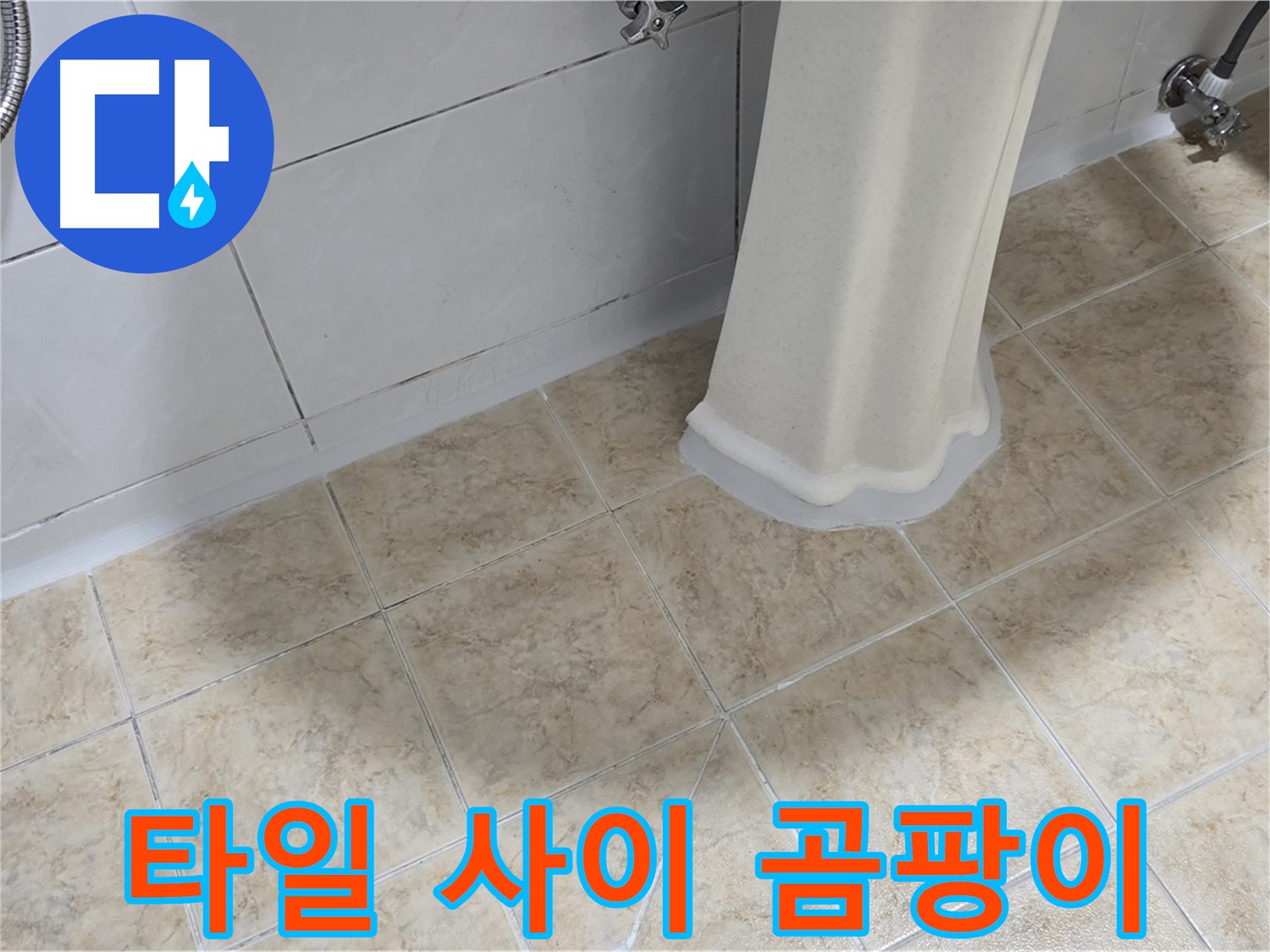 타일 사이 검은 곰팡이 - 습기와 누수는 곰팡이 번식의 최적 환경을 제공합니다.