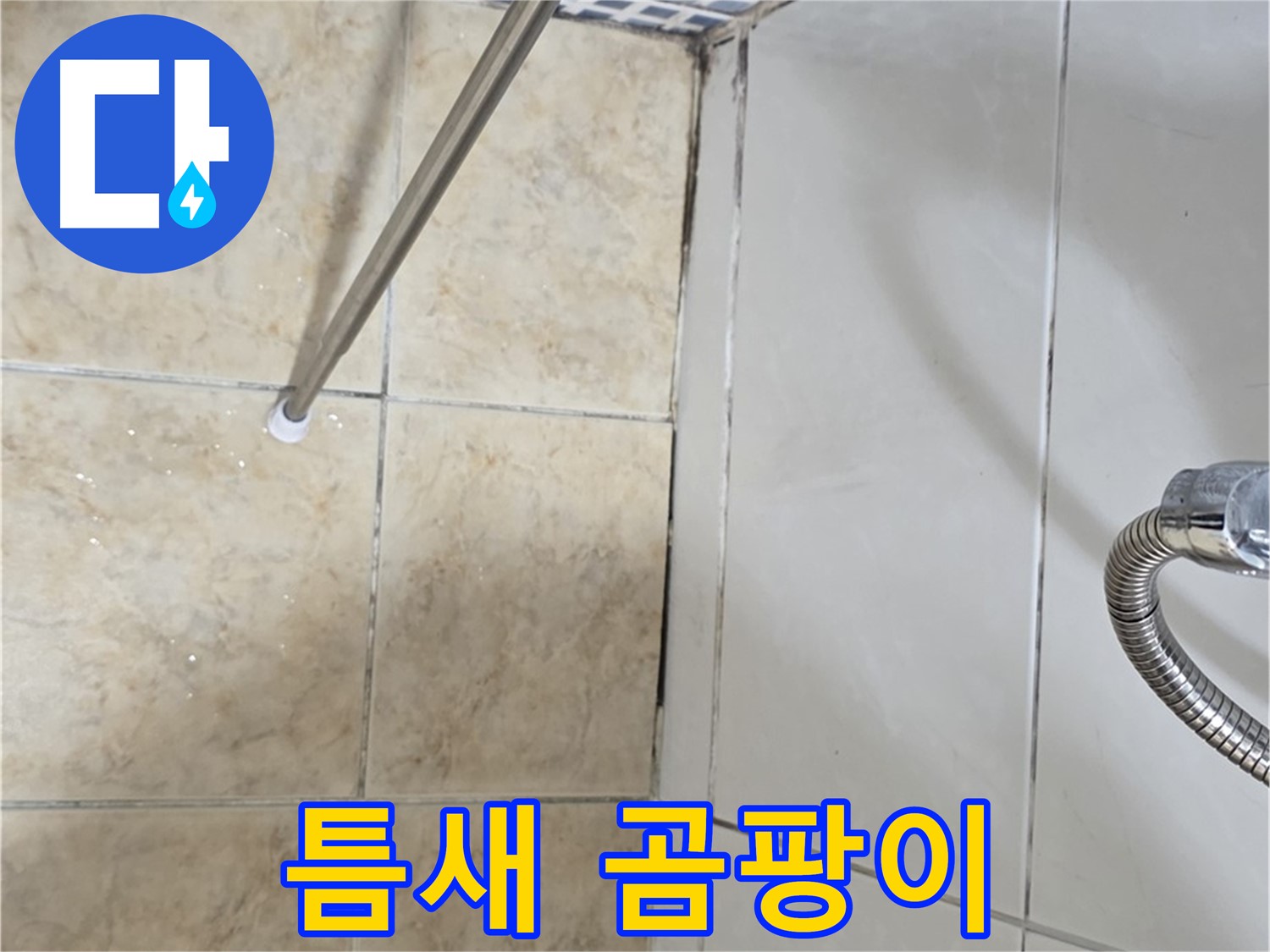 타일 틈새 검은 곰팡이 - 칫솔질 불가 - 누수 의심
