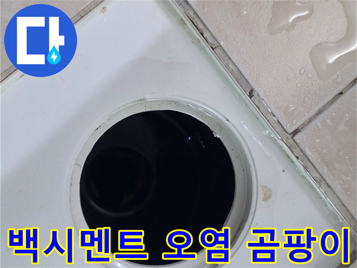 양주 백석 서광아침의빛아파트 욕실 배수구 주변 백시멘트 오염 - 곰팡이 확인