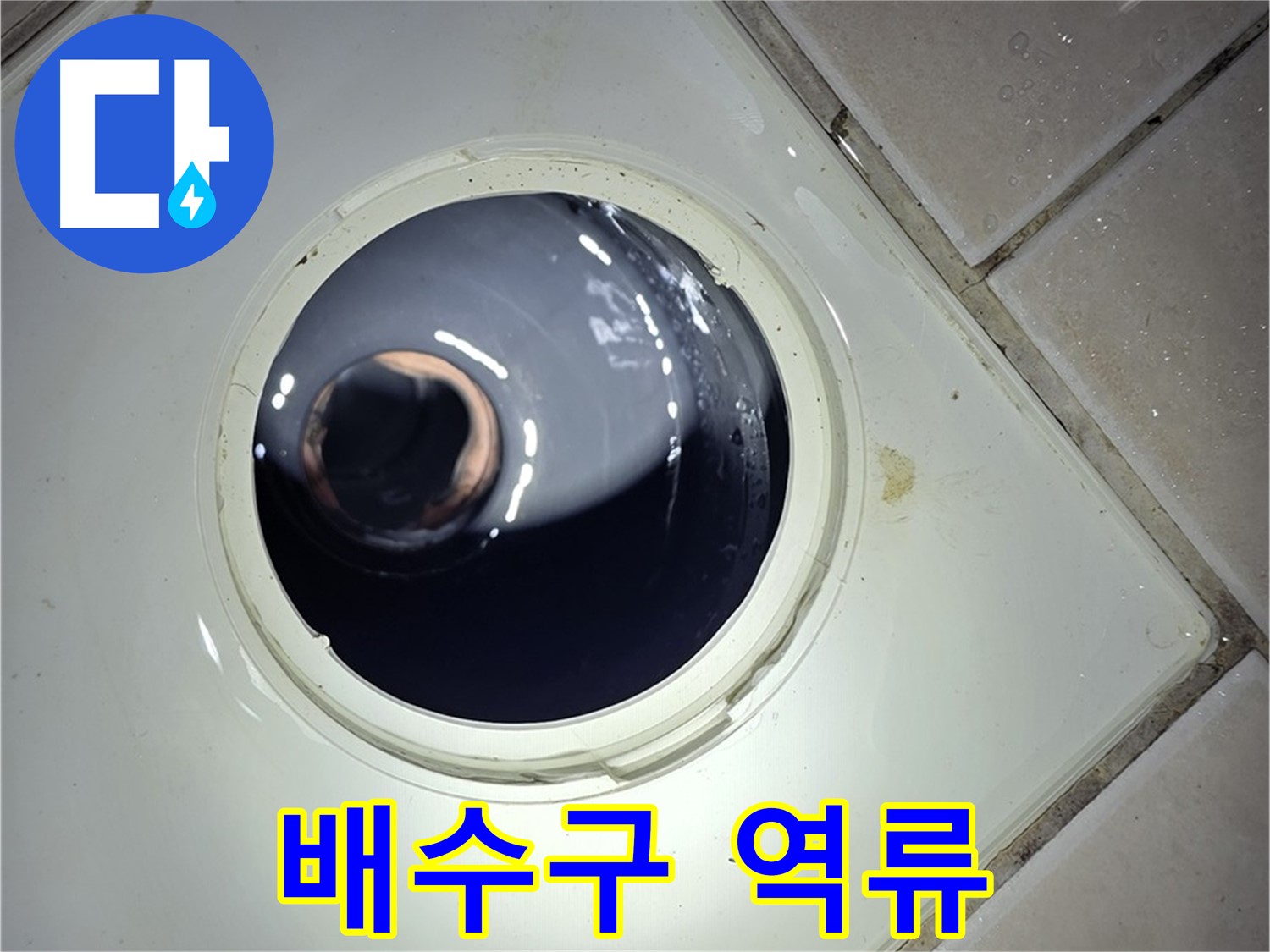 양주 백석 서광아파트 배수구 역류 - 머리카락 제거, 시원하게 해결