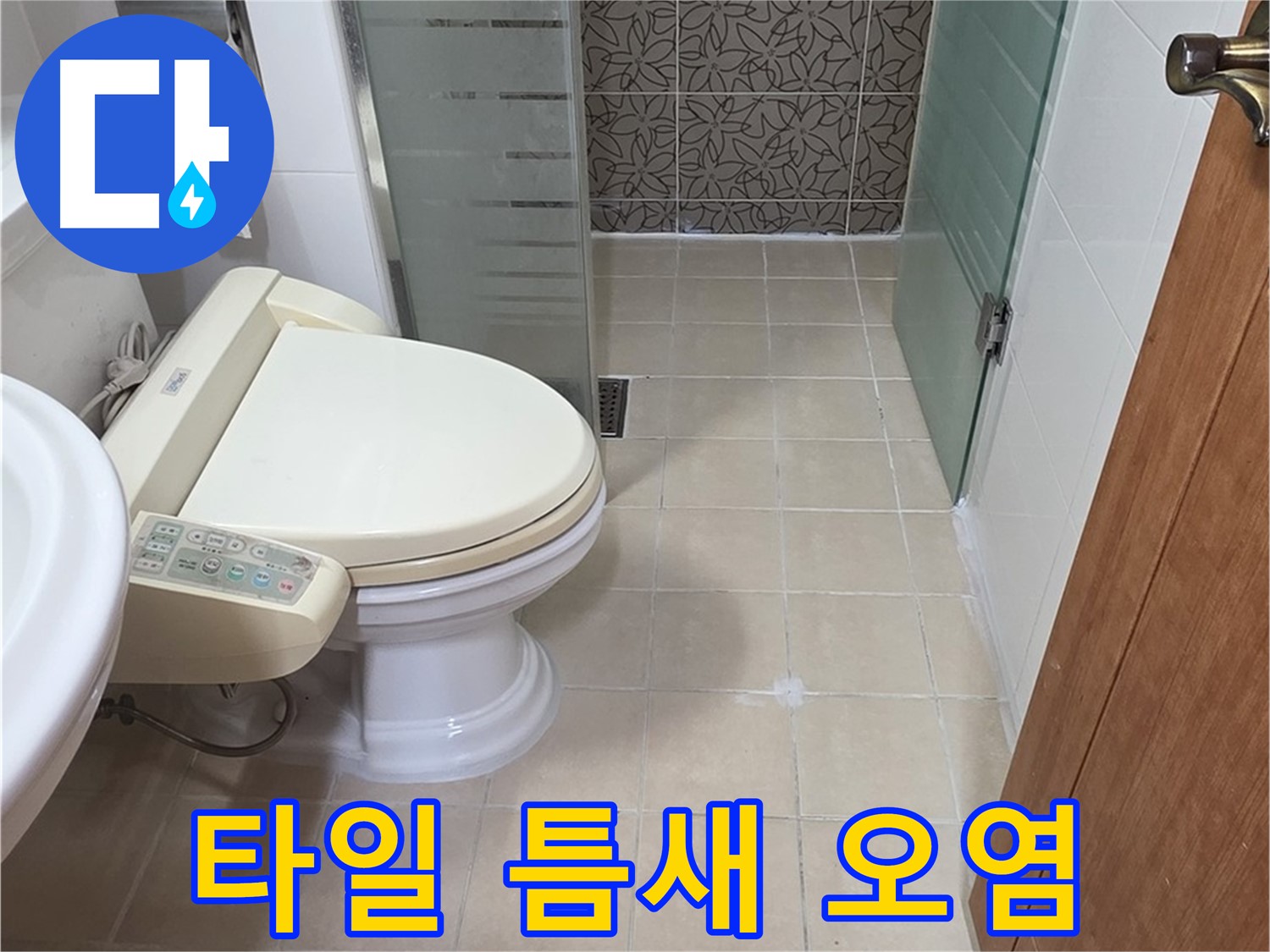 양주 백석 서광아파트 - 변기 옆 타일 틈새 오염 누수 점검