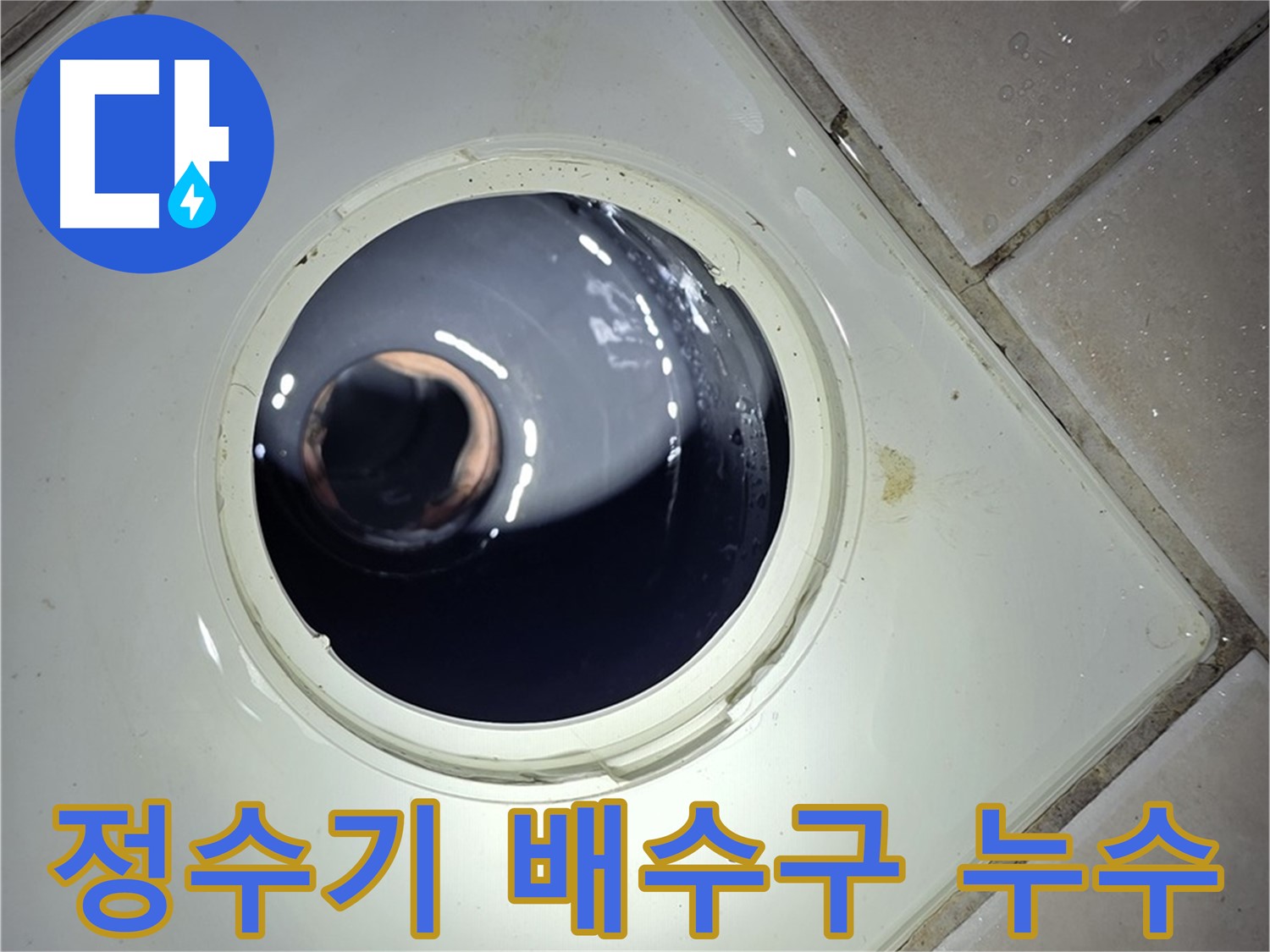 화장실 배수구 안쪽 배관의 물기 확인