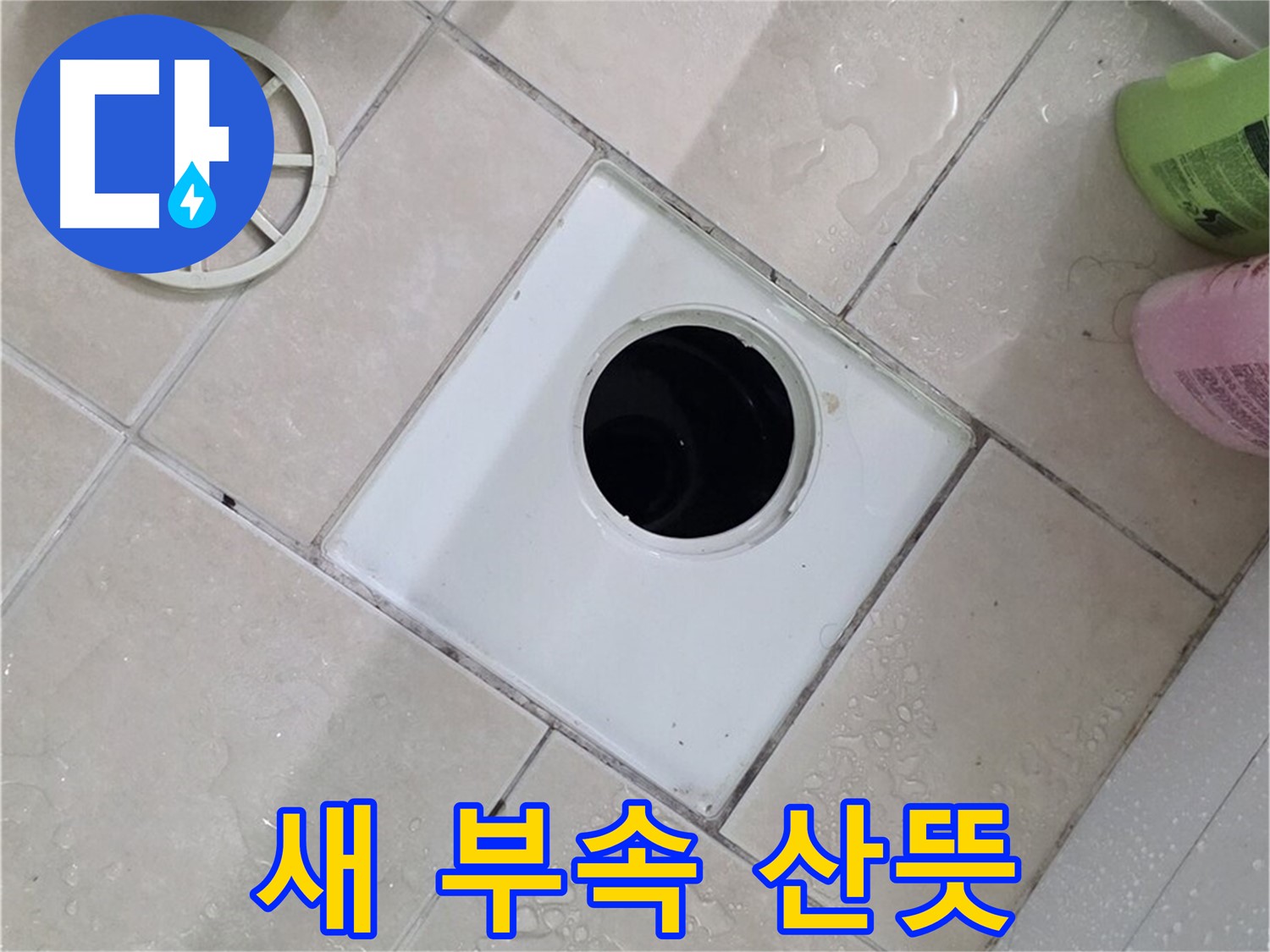 양주 서광아파트 104동 욕실 배수구 - 새 부속으로 산뜻하게 변신