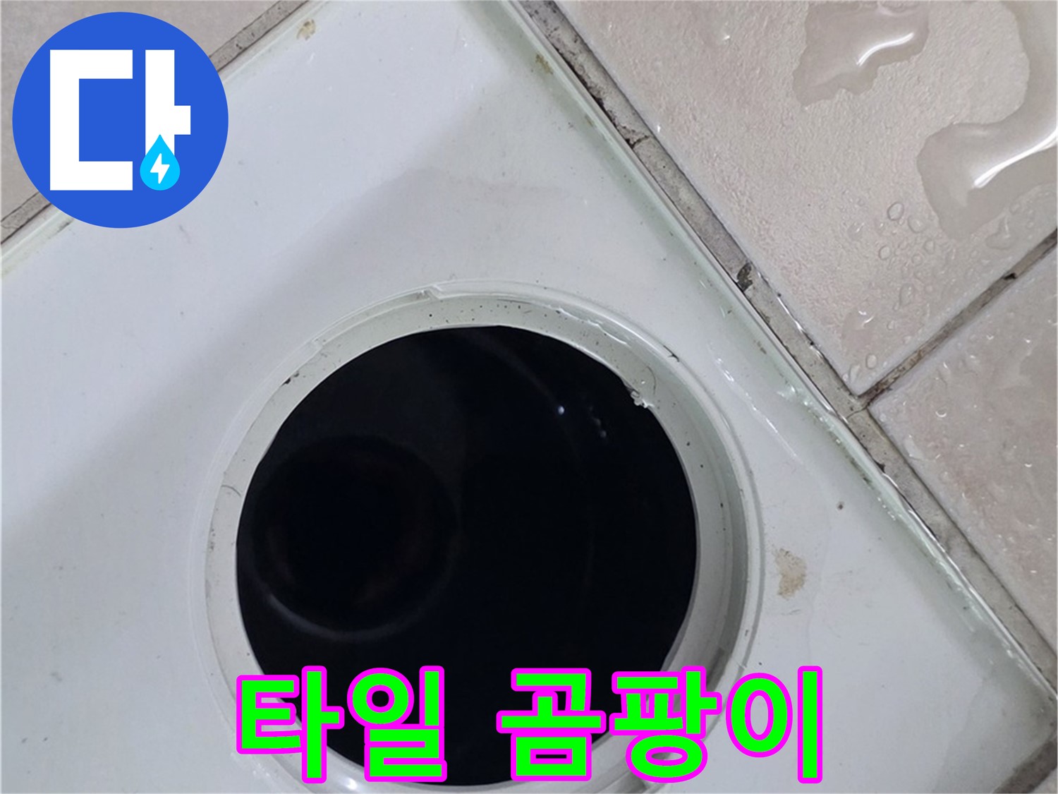 양주시 백석읍 서광아파트 욕실 배수구 주변 타일 틈새 곰팡이 - 누수와 관련된 곰팡이 발생 상태를 확인합니다.