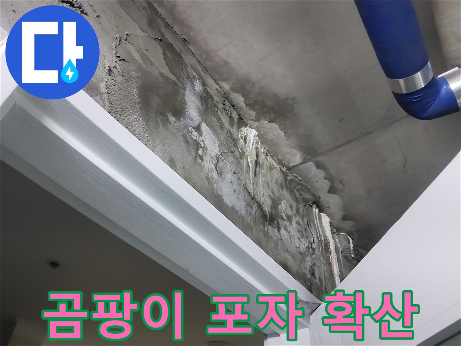 문 위 천장 - 곰팡이 포자 확산 - 누수로 인해 곰팡이가 발생하고 포자가 확산될 우려가 있는 모습입니다.