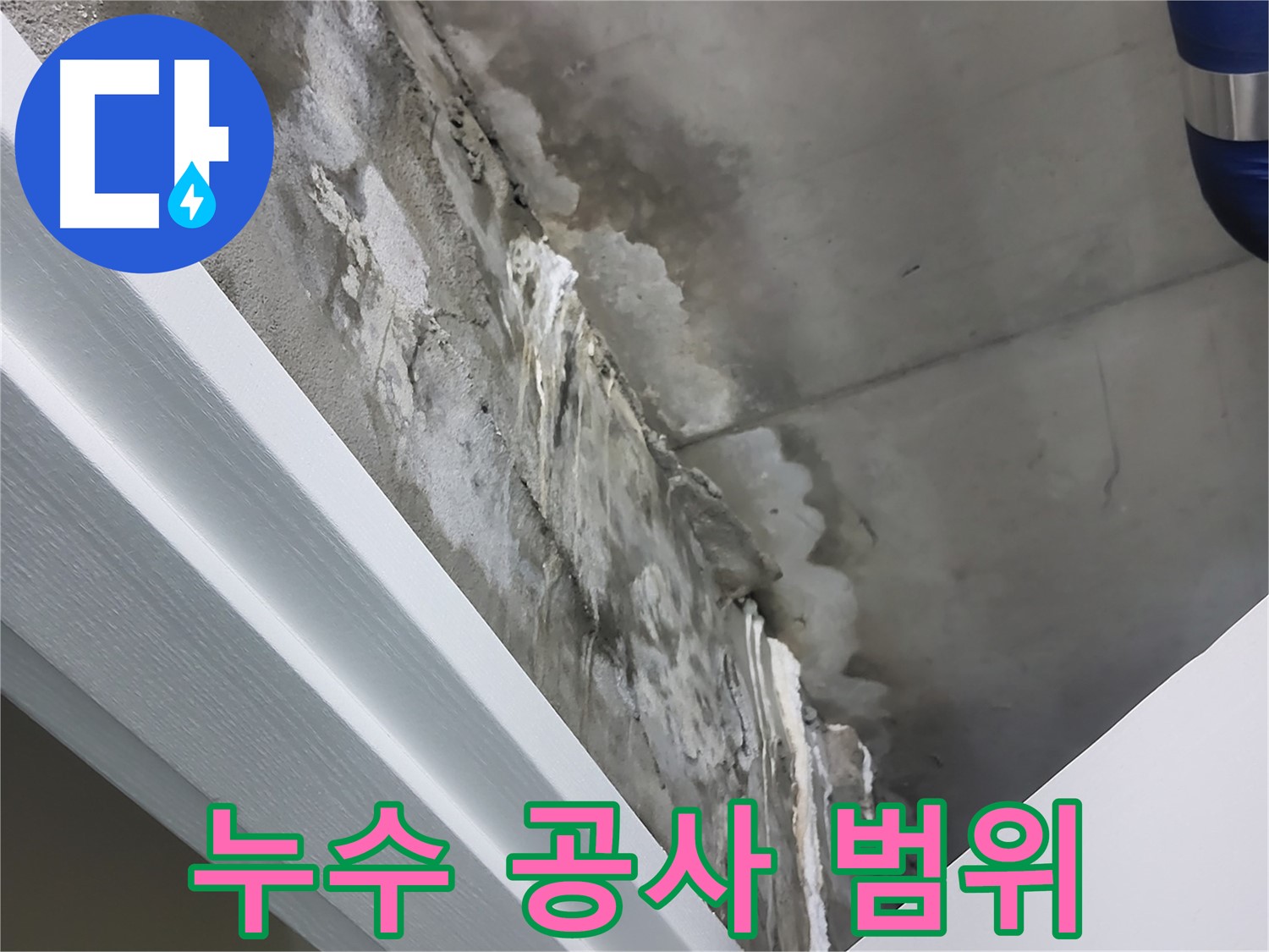 분당 운중동 - 누수 공사 범위 결정 - 부분 공사 또는 전체 공사