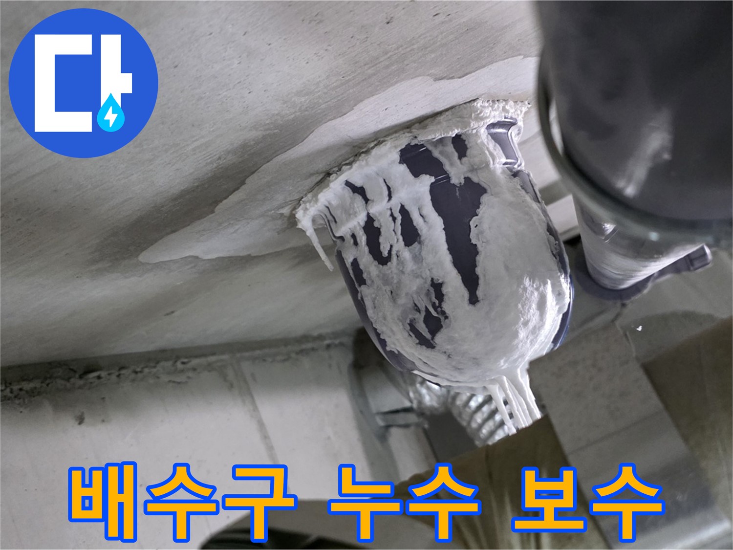 분당 운중동 배수구 누수 - 꼼꼼한 보수로 누수 완벽 해결