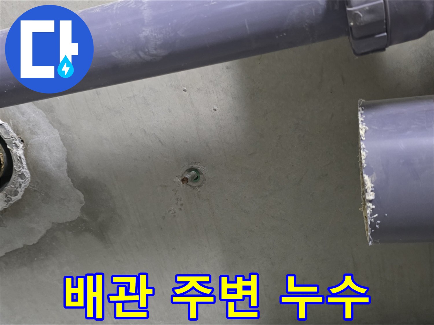 분당 운중동 산운로 산운마을6단지 아파트 누수 현장에서 배관 주변의 누수 흔적을 보여주는 사진 - 꼼꼼한 관찰로 누수를 찾아냅니다.