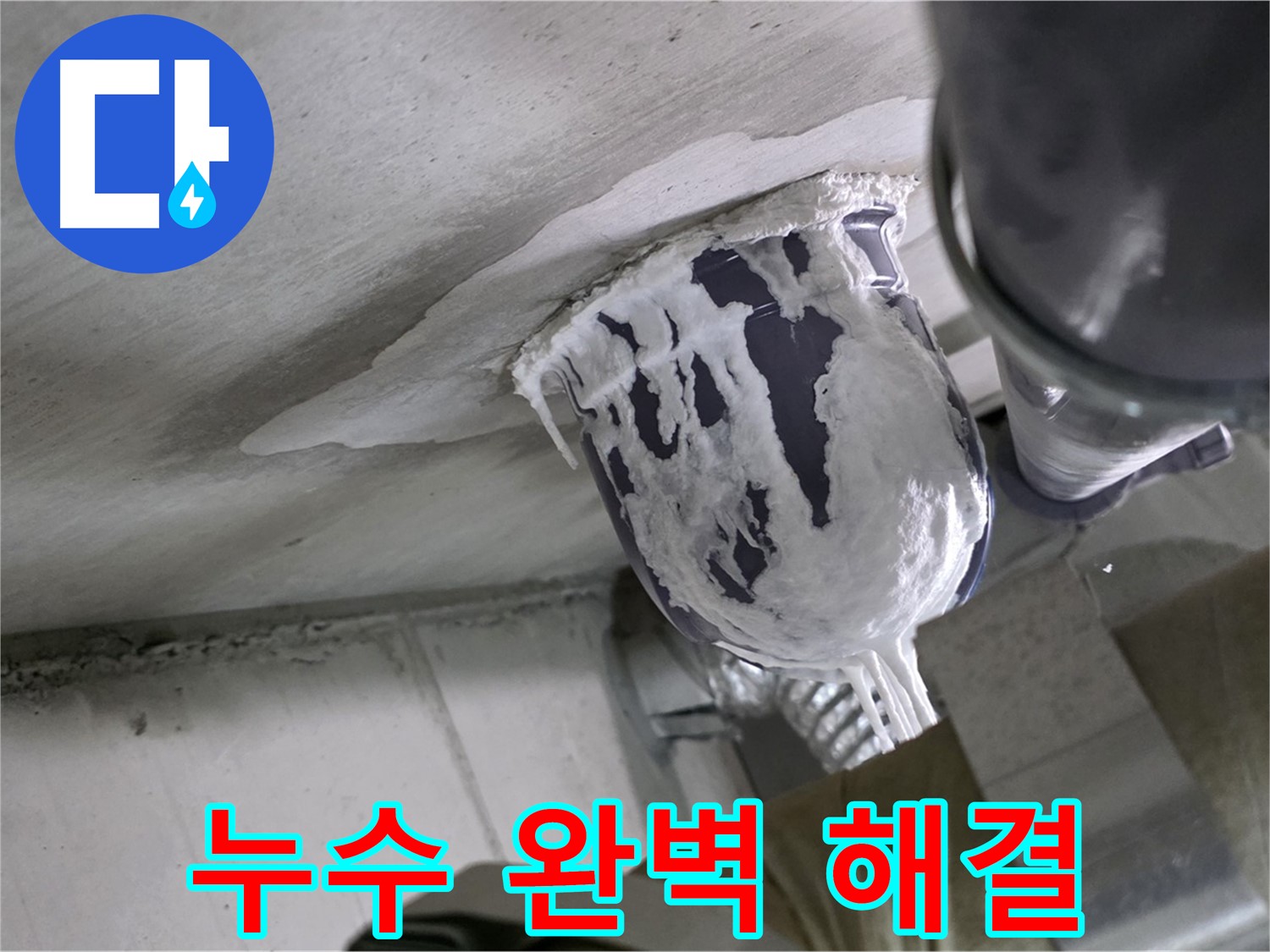 분당 운중동 산운마을 - 완벽한 누수 해결로 고객 만족 극대화 완료