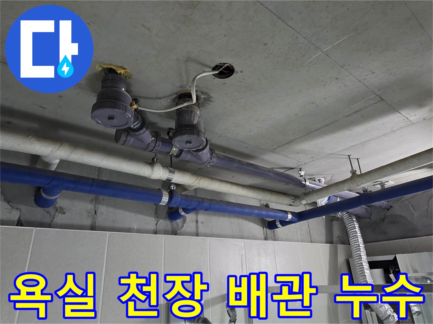 분당 운중동 산운마을 욕실 천장 배관 누수 - 전문 누수탐지 기술로 정확하게 진단하고 완벽하게 해결합니다.