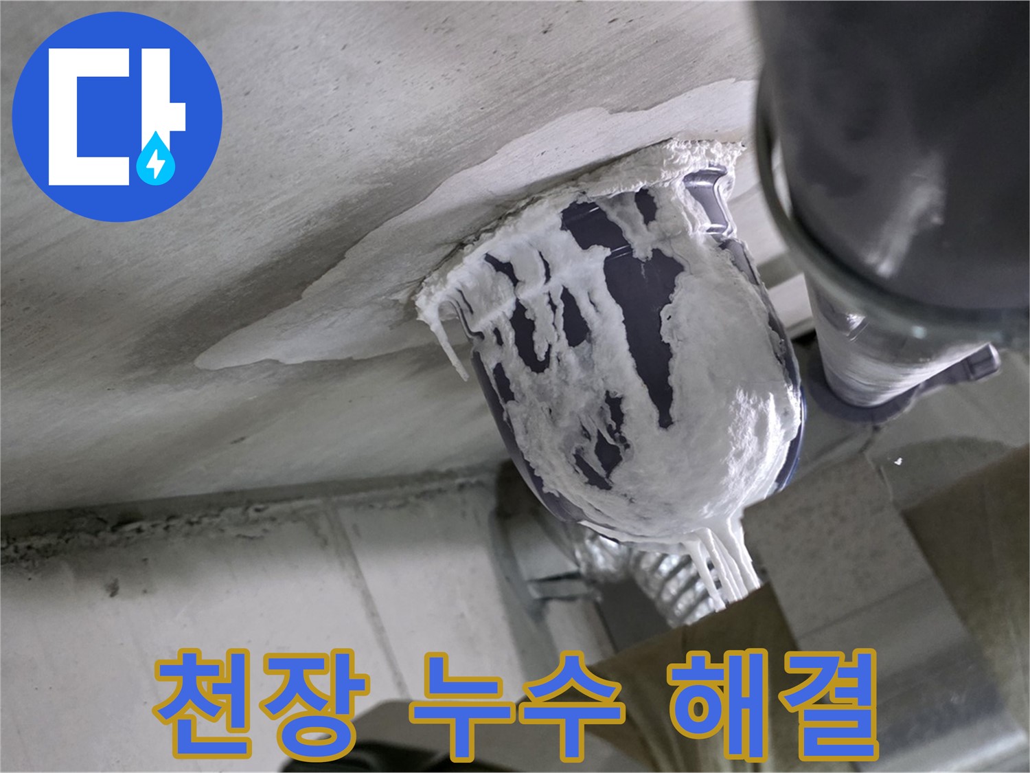 분당 운중동 산운마을 - 천장 누수, 책임지고 완벽하게 해결해 드립니다